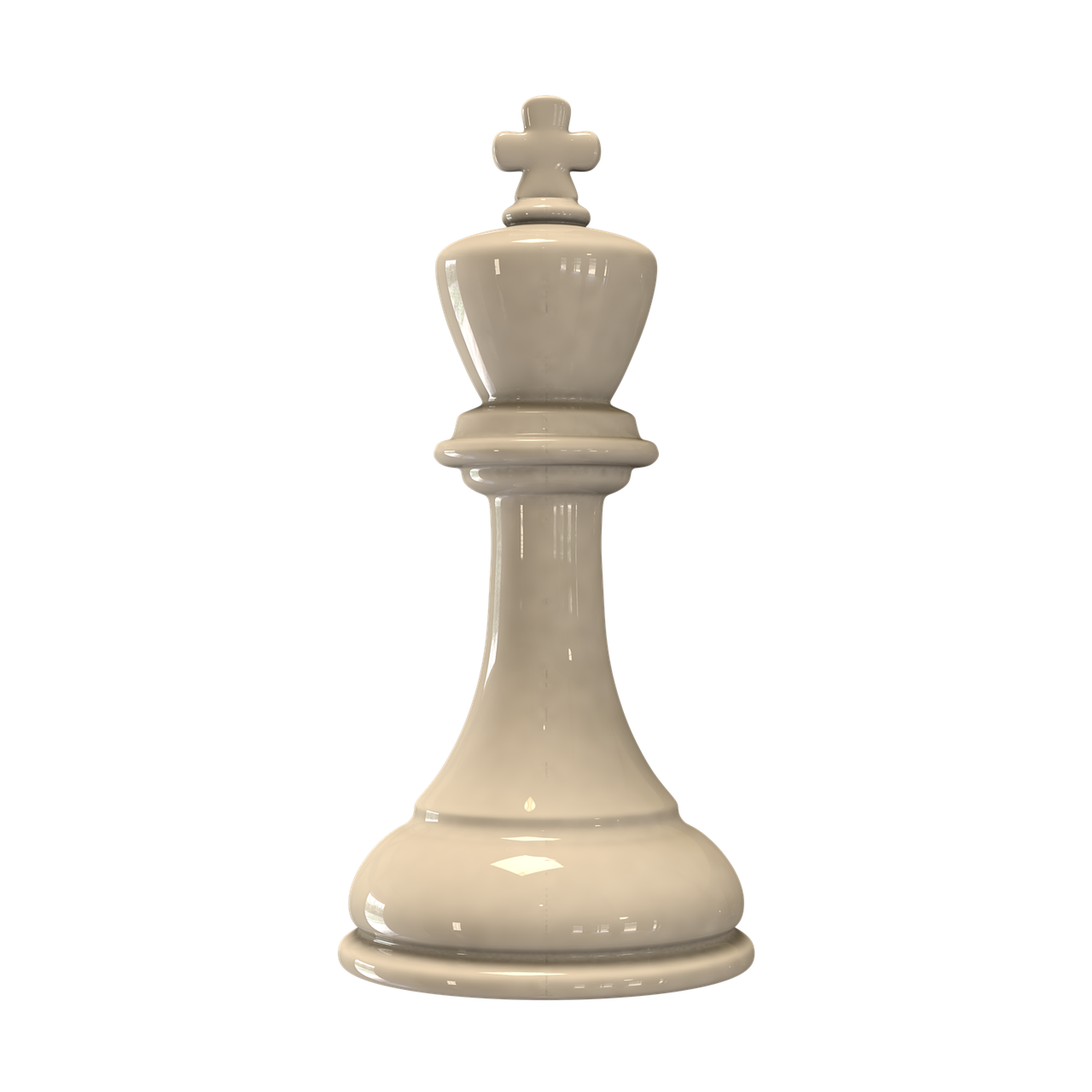 MAGNUM PROFESSIONAL CHESS ACADEMY