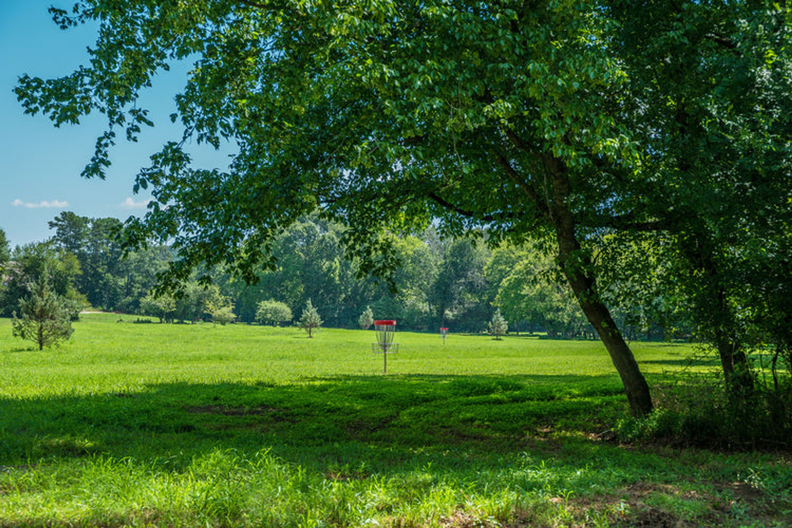Atlantic Disc Golf
