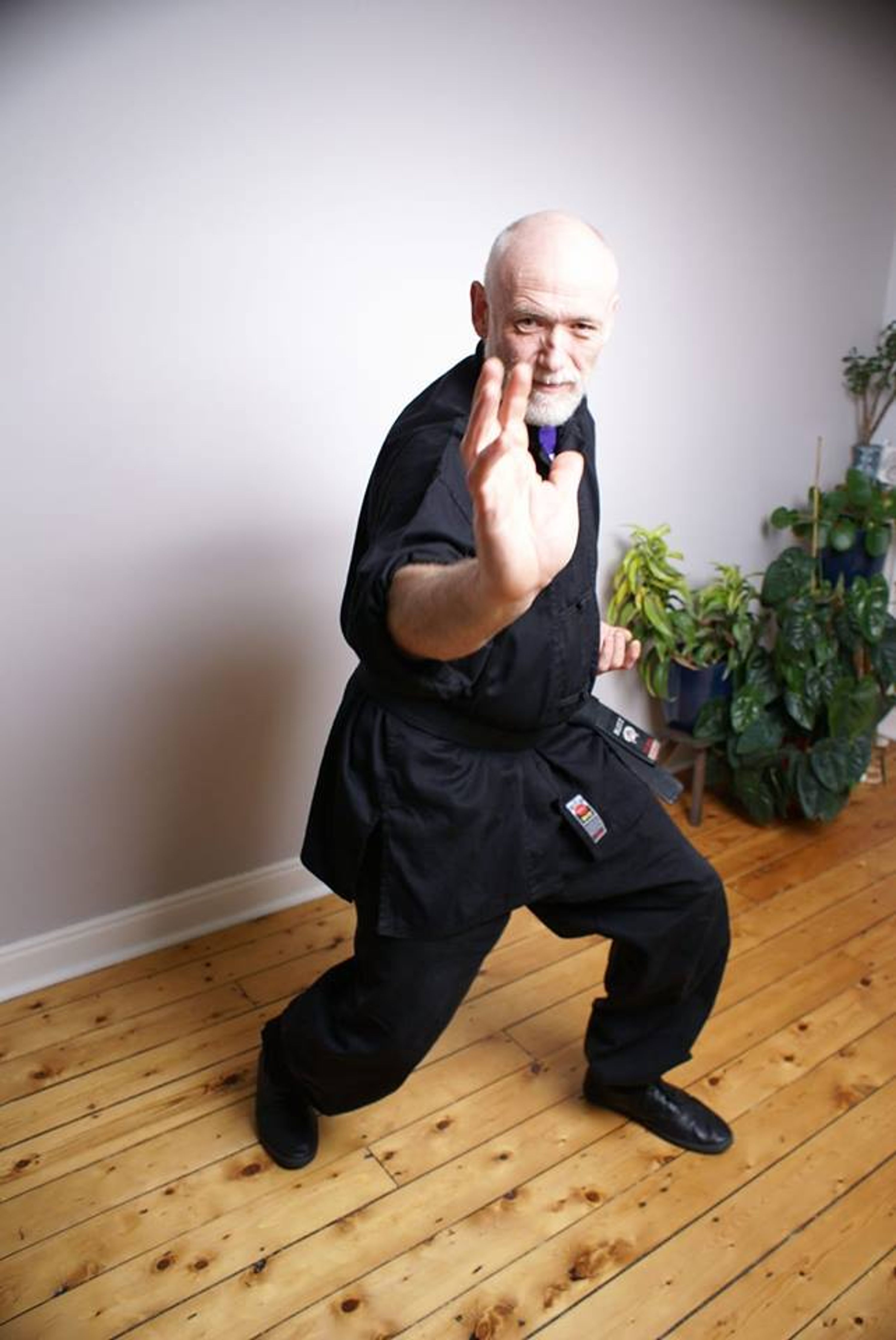 Kung Fusion
