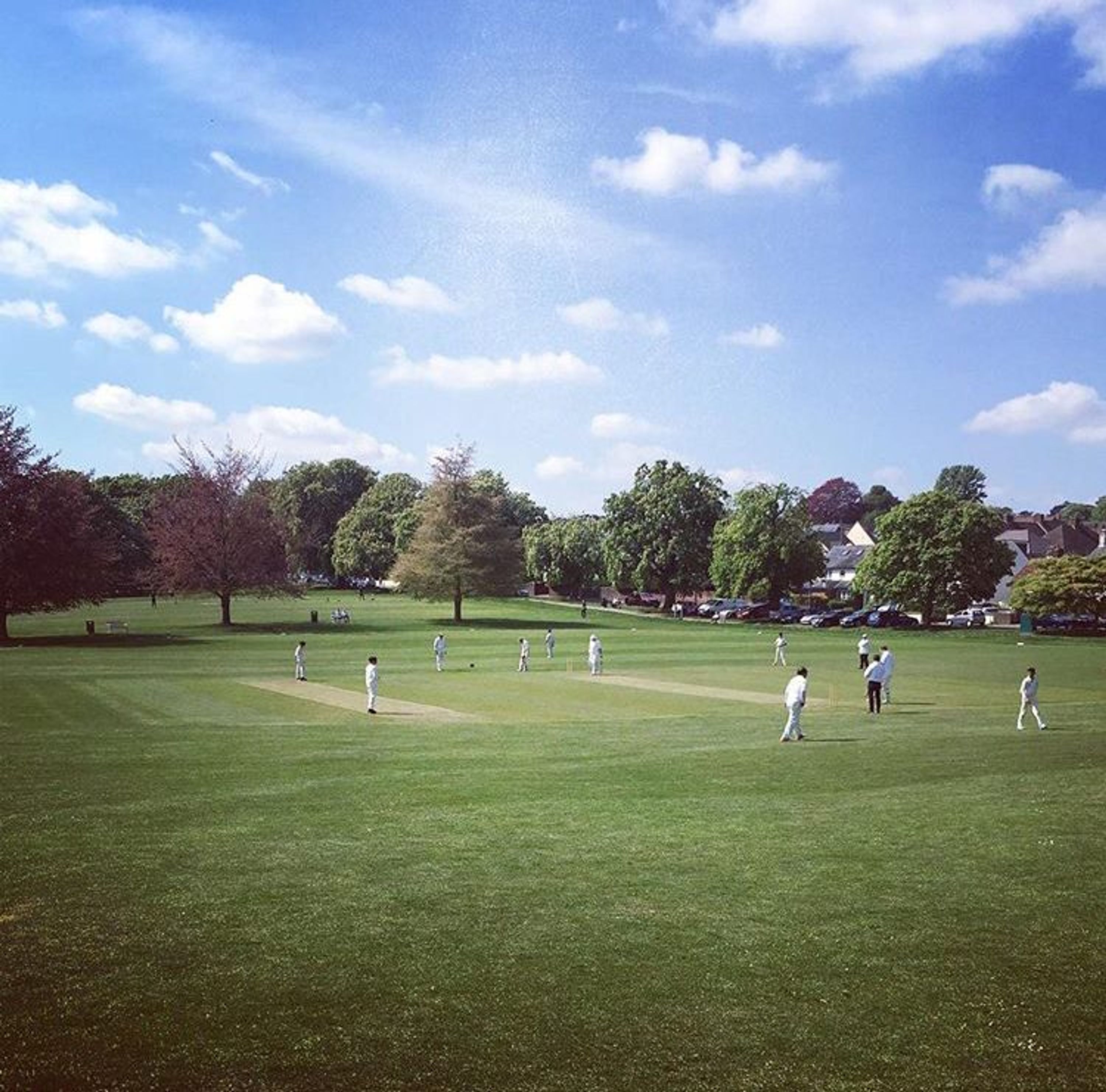 Boxmoor Cricket Club Senior Cricket