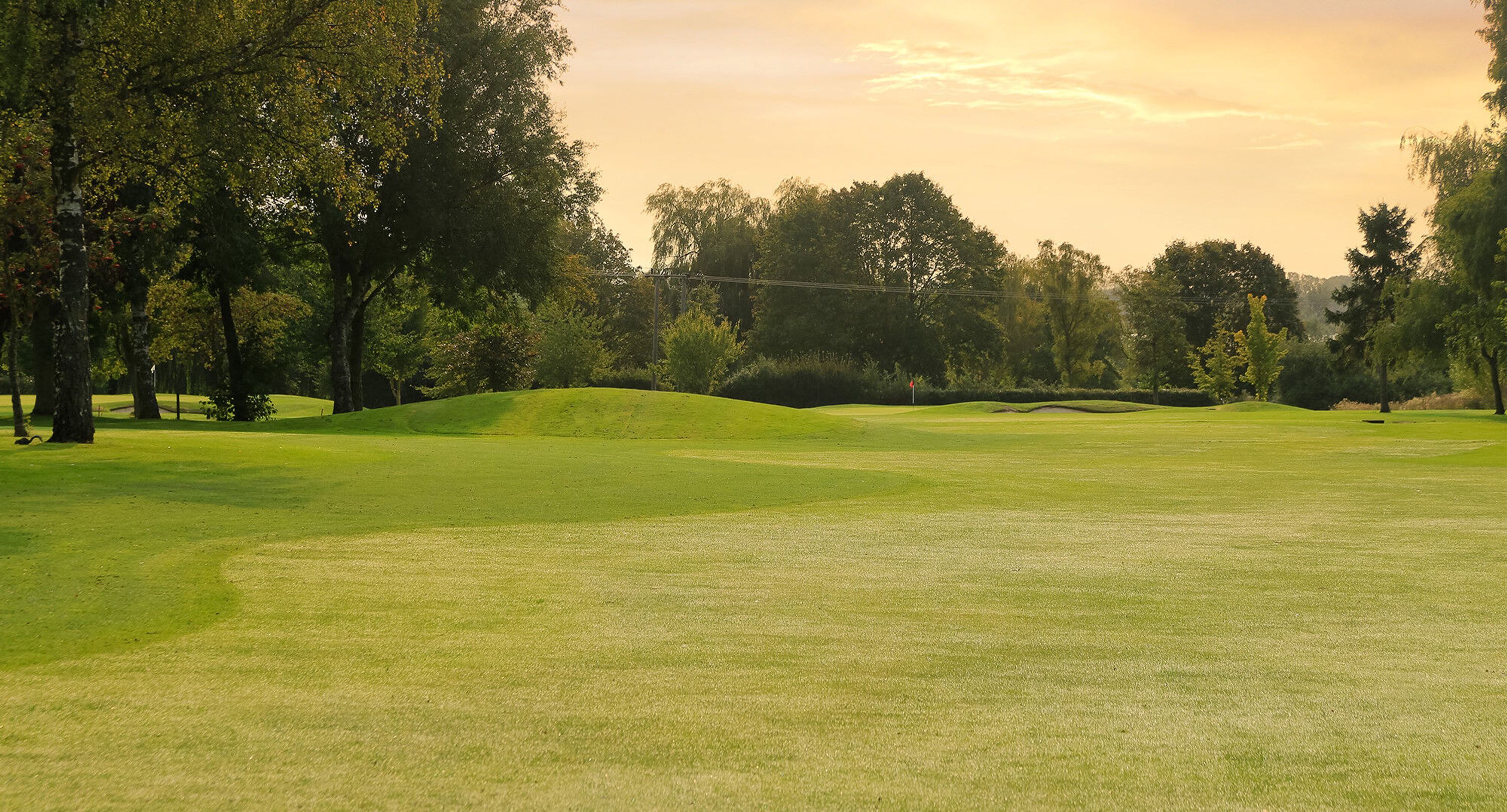 Ely City Golf Club