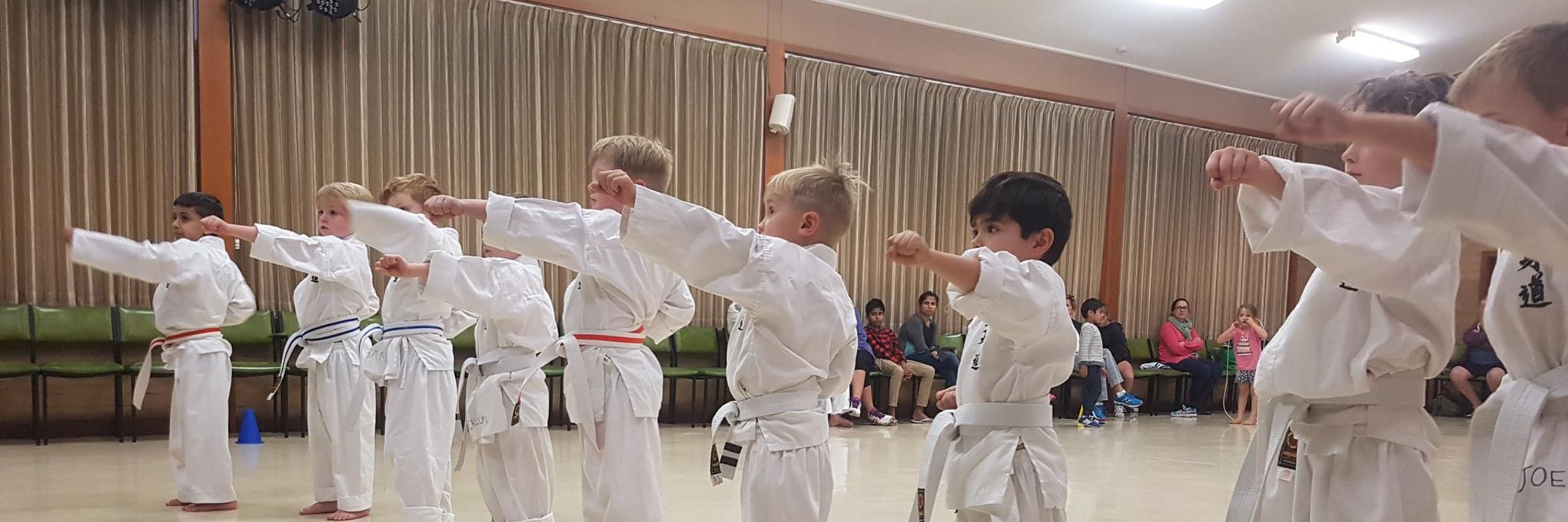 Merv Nelis Zenshin Martial Arts Academy