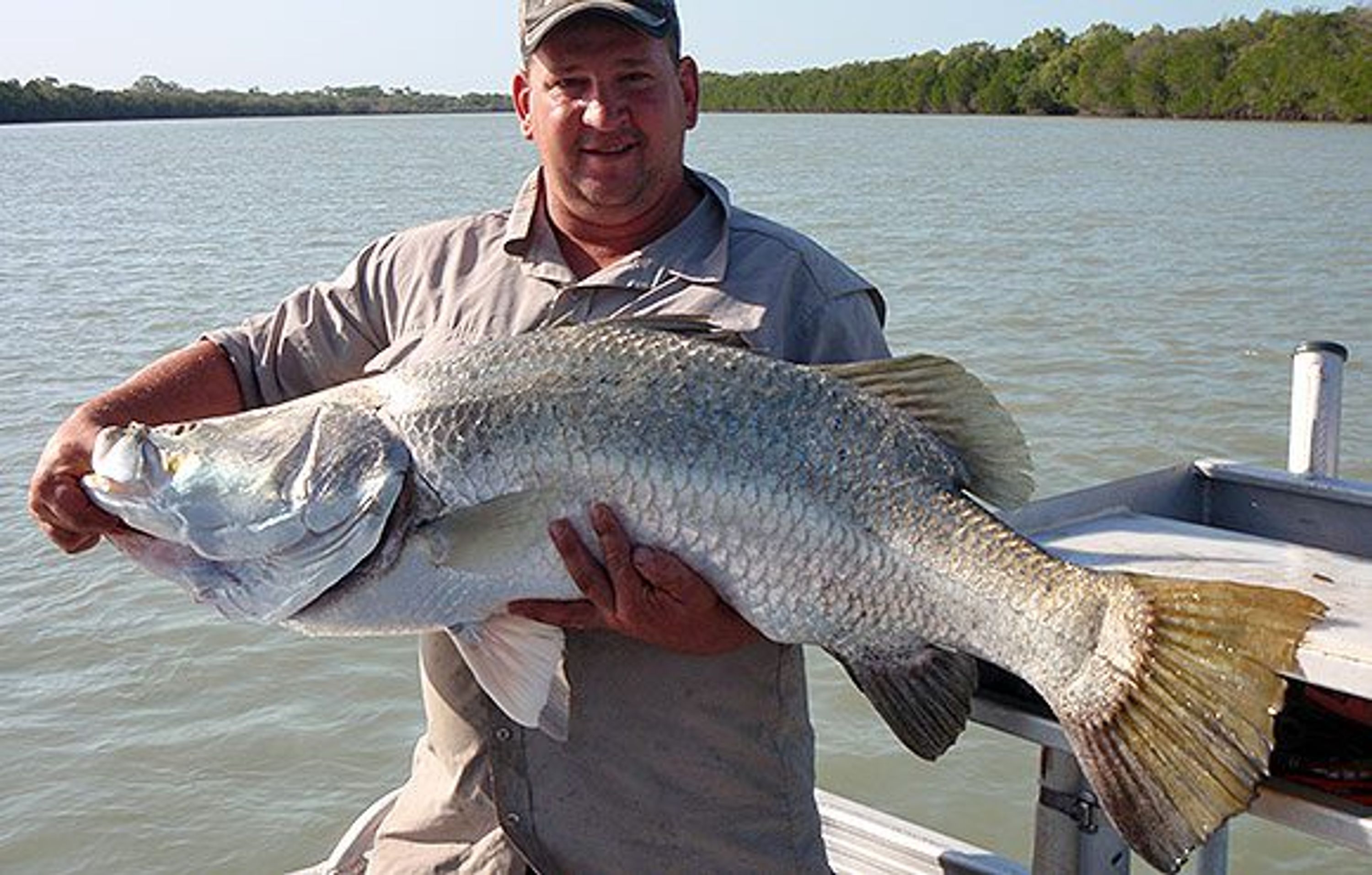 Cape York Freedom Adventure Charters