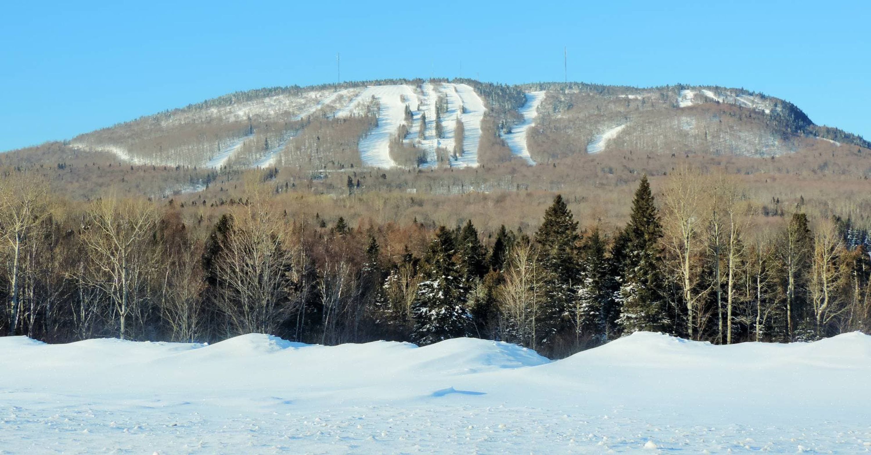 Mont-Comi Park