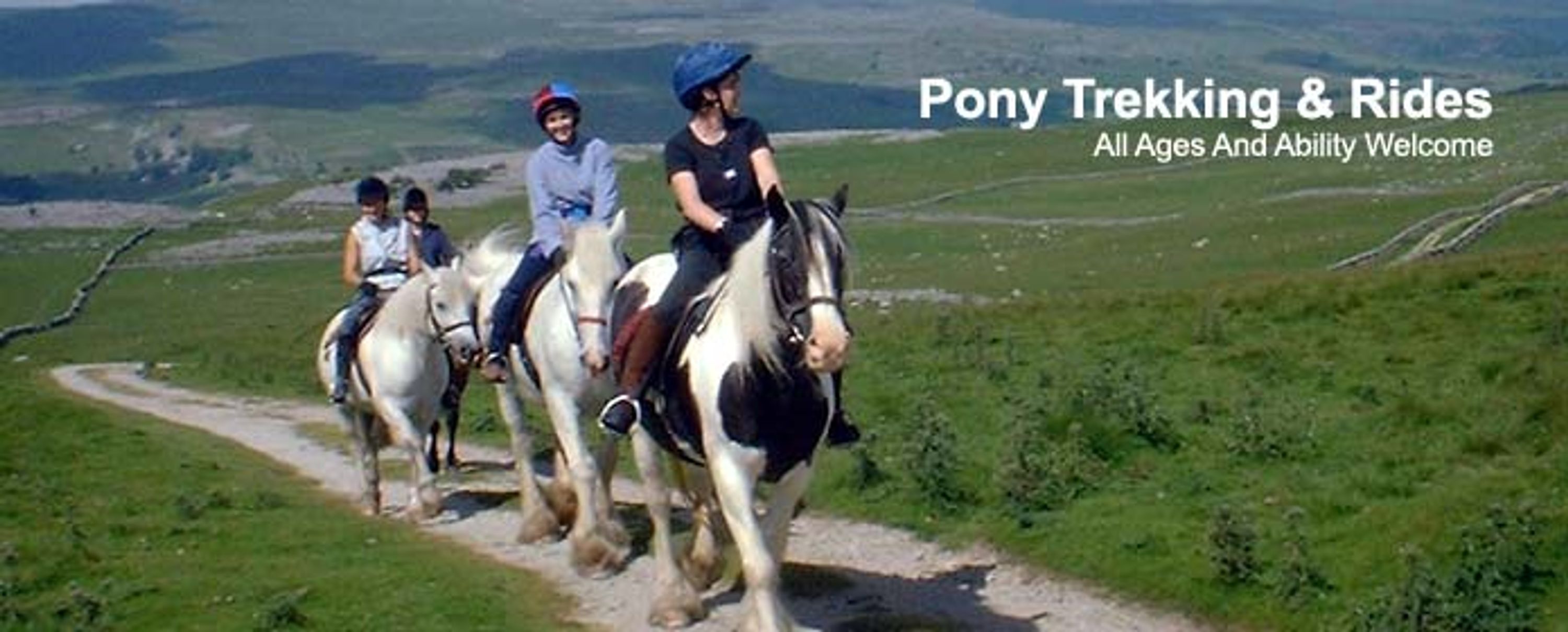 Horse Riding Lessons for Children