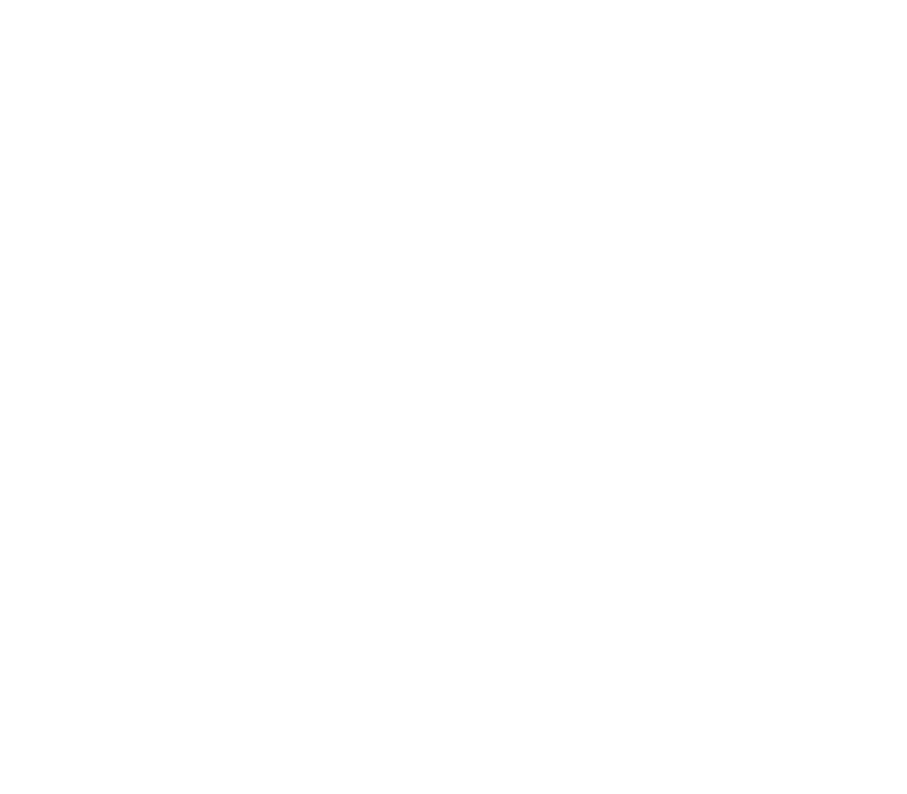 LOT OF SPORTS LAC VERT CATUS