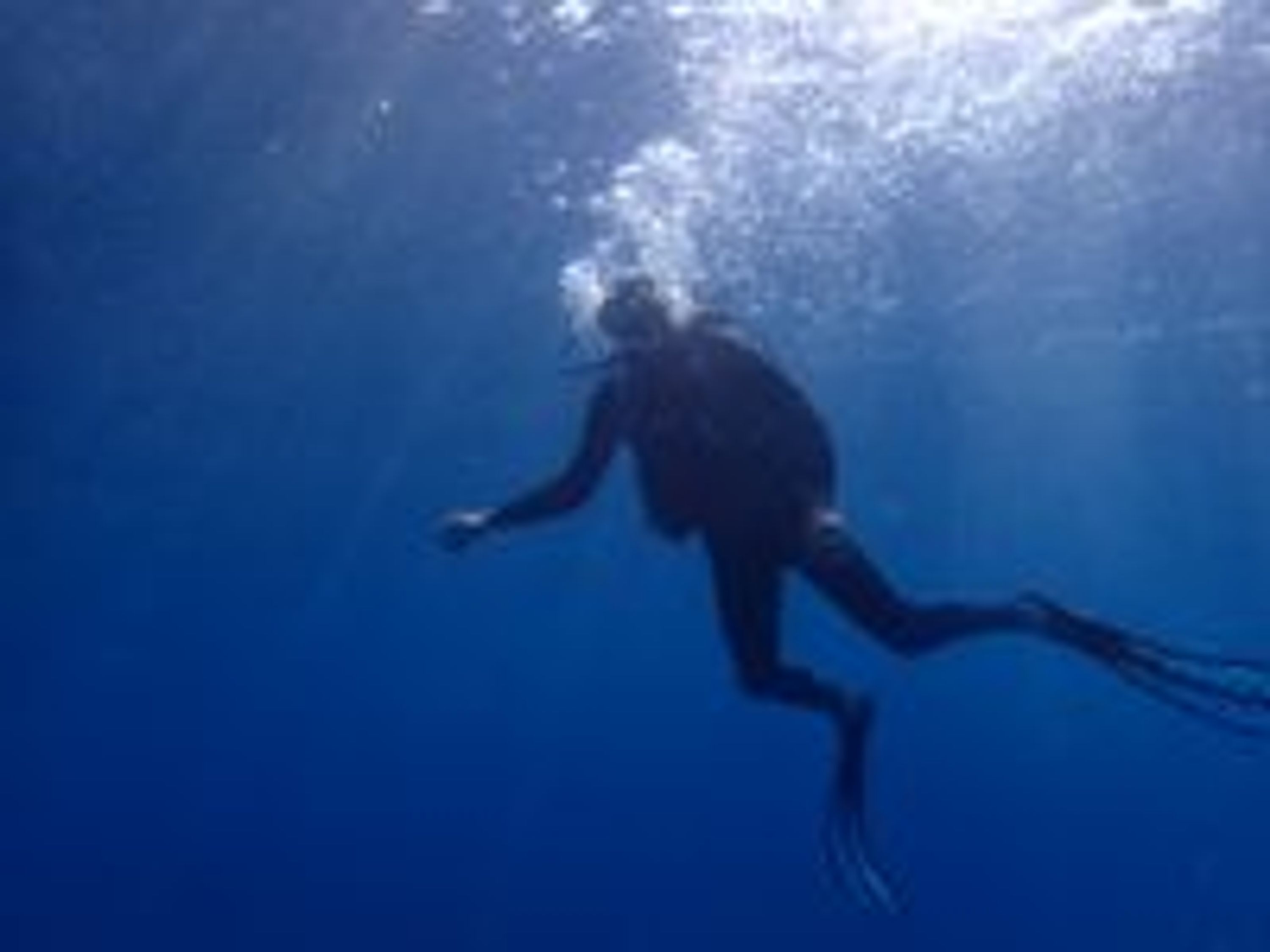 Capes Diving Agde