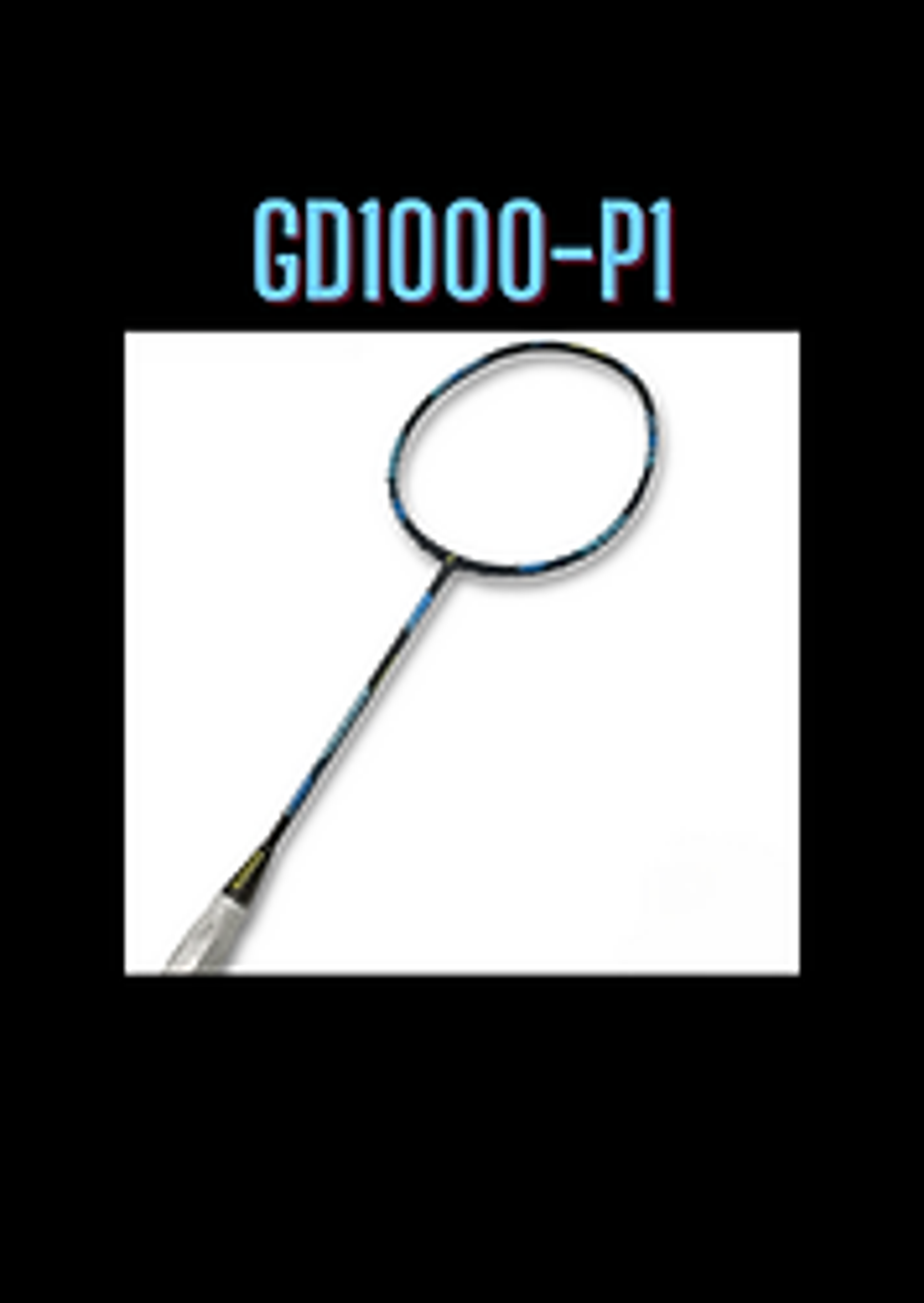 T Badminton Academy