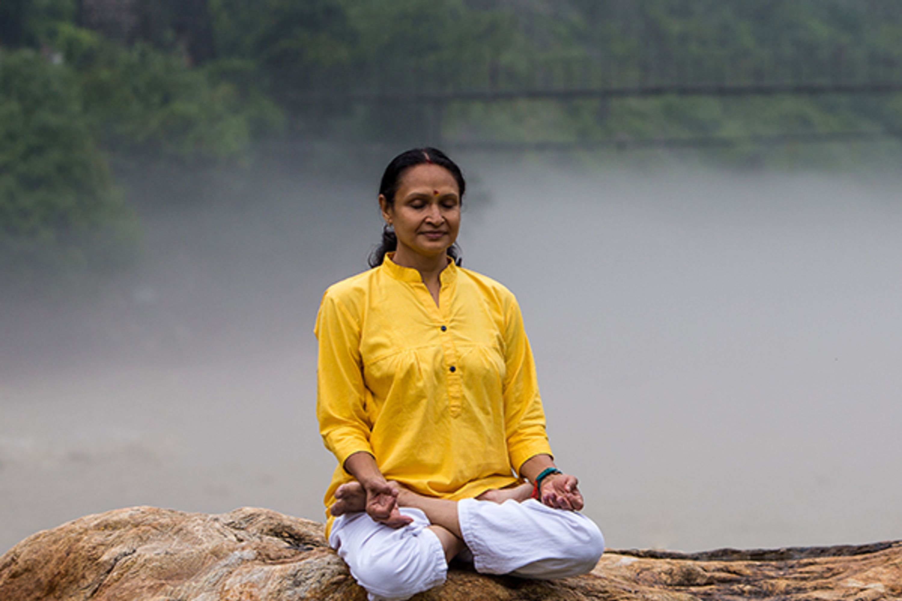 Sivananda Yoga Vedanta Dhanwantari Ashram