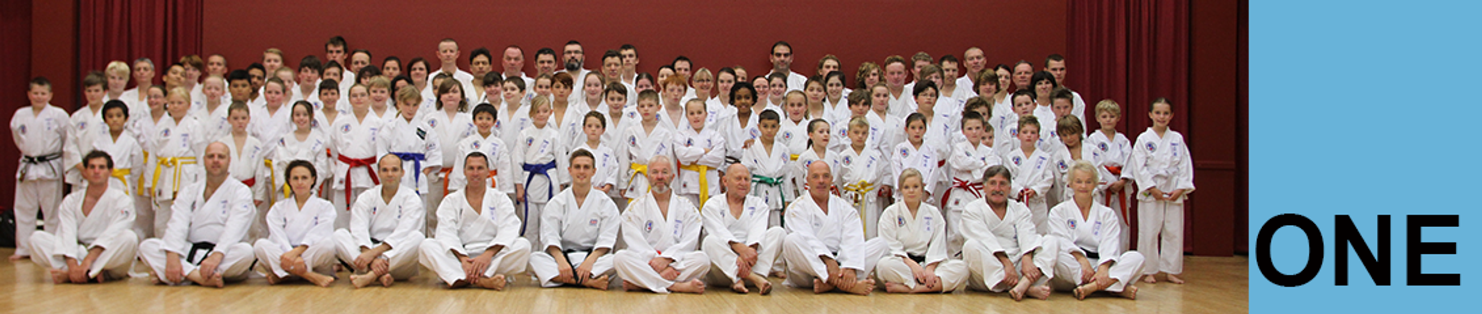 ISHINRYU Dingley