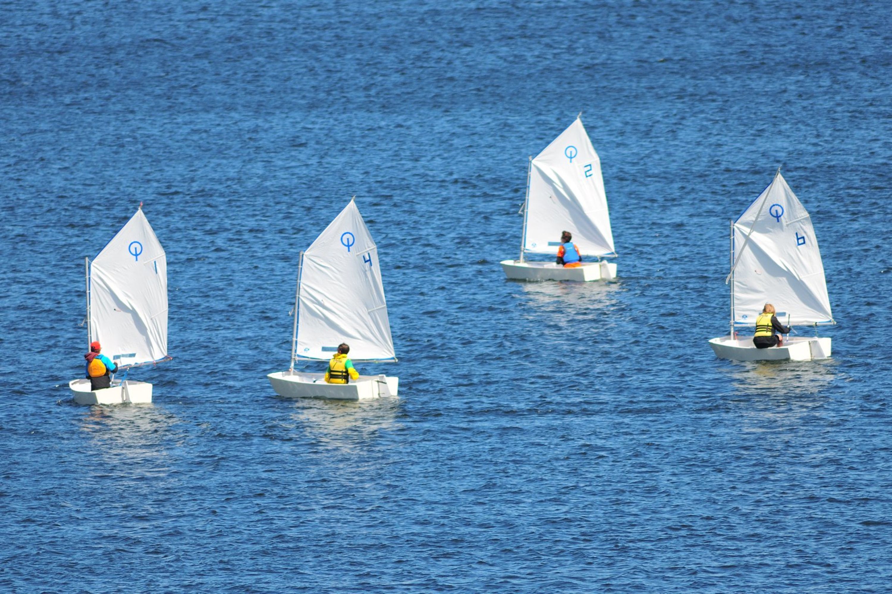 School Sailing Le Cormoran