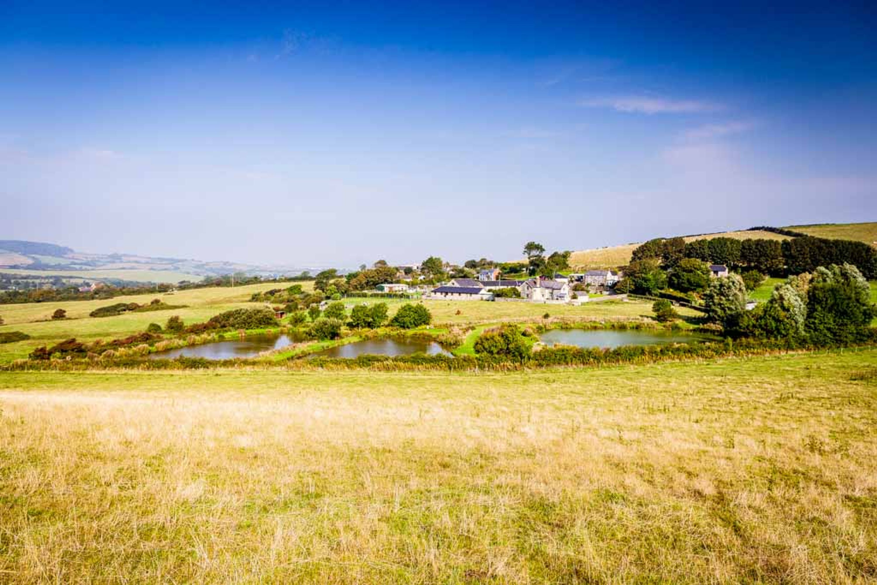 Nettlecombe Farm