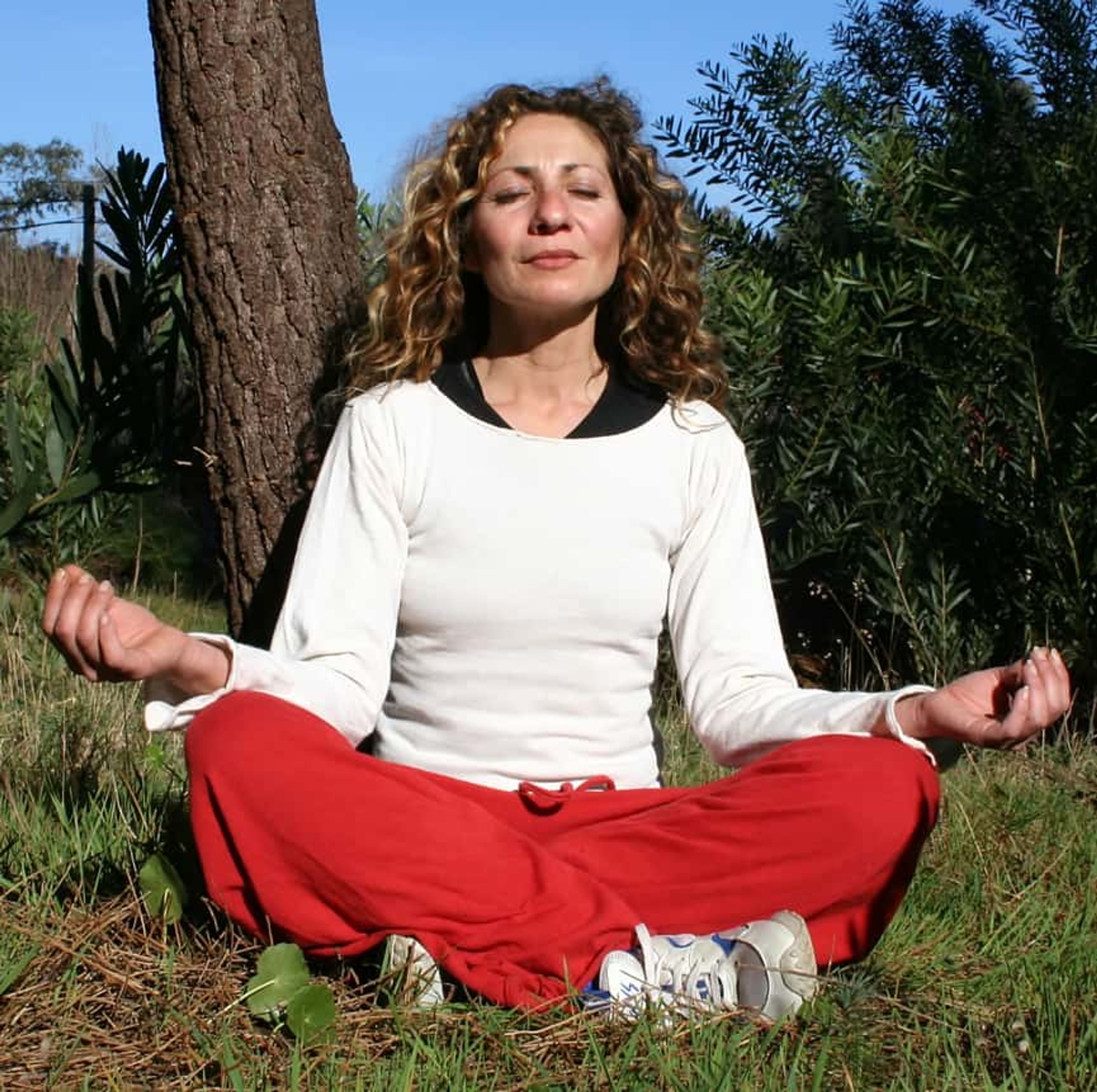 Spring 2024 Yoga Session in St Hippolyte and St-Anne-des-Plaines