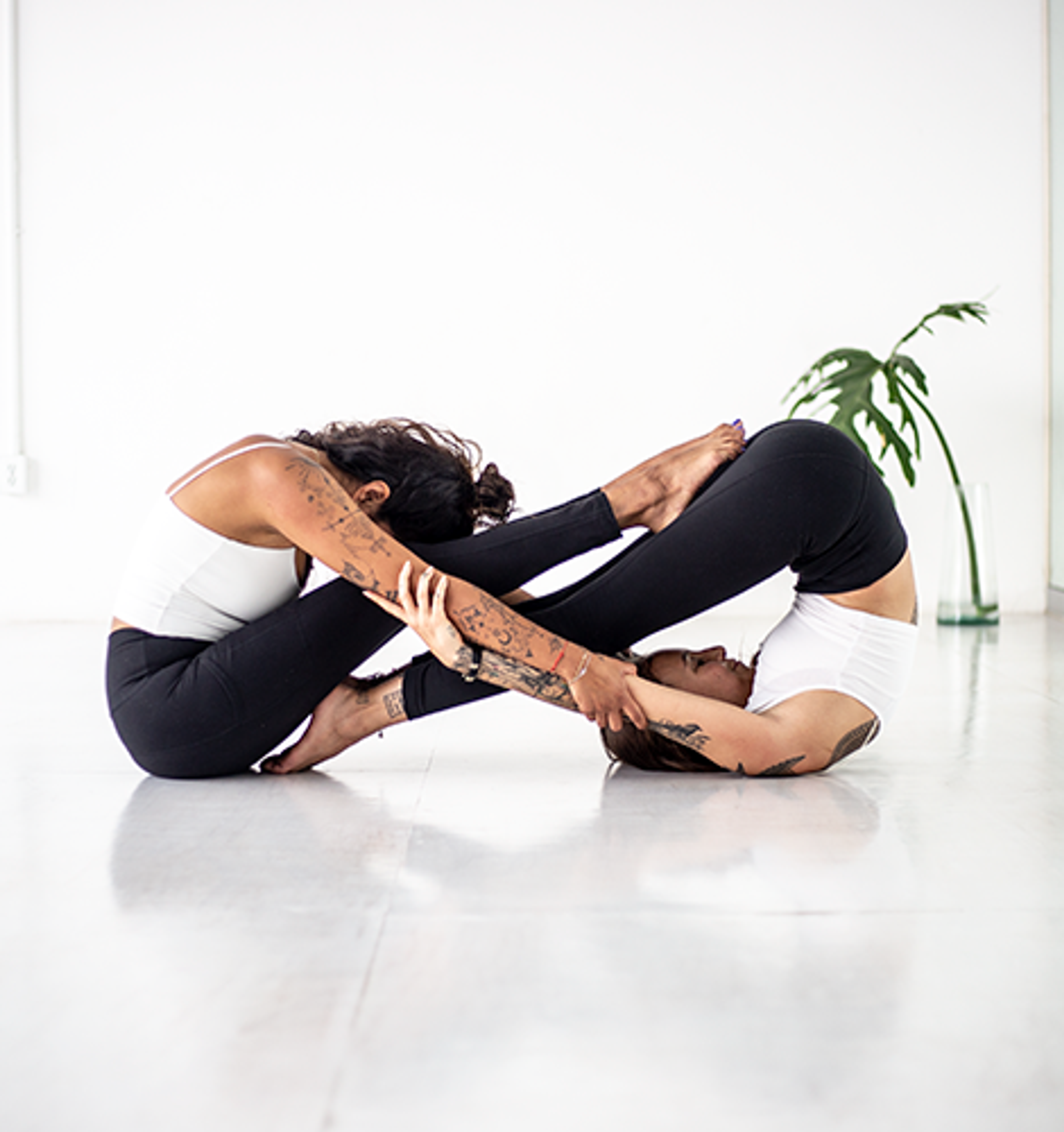 Yoga Shala Coyoacán