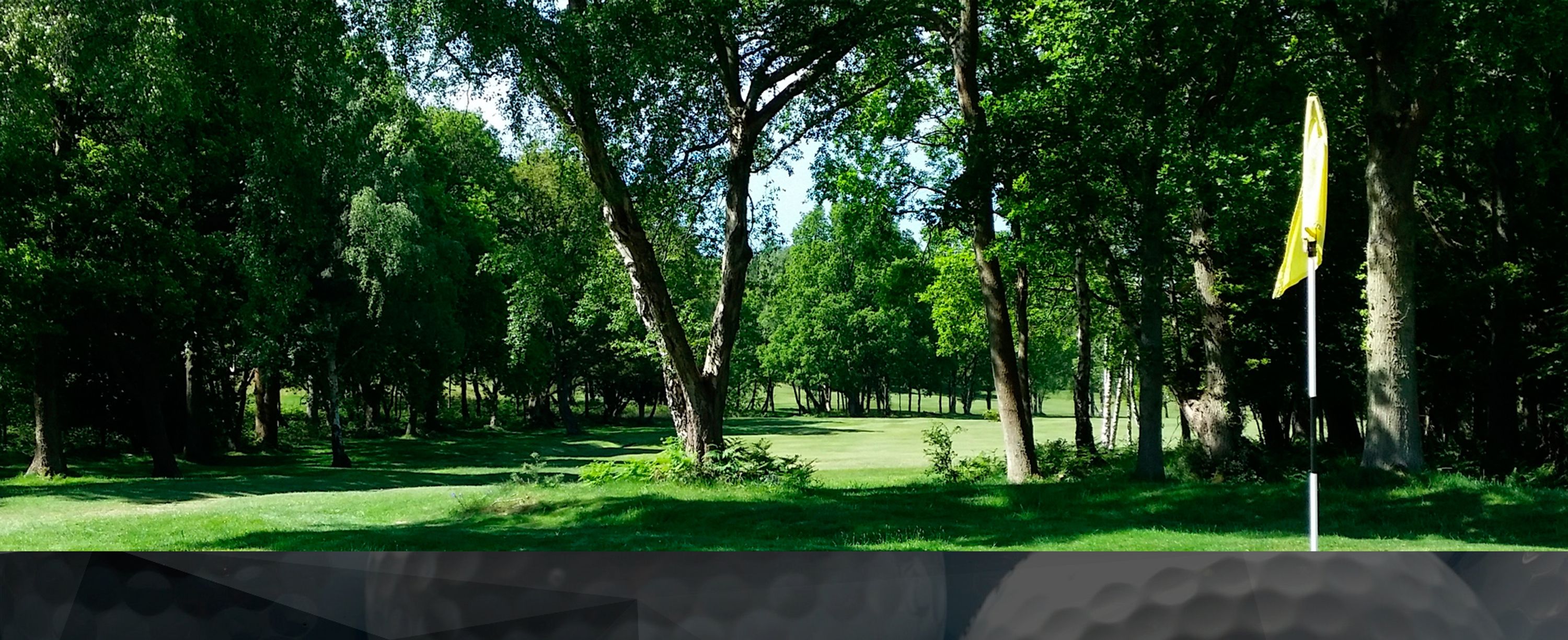 Club de golf St-François Events