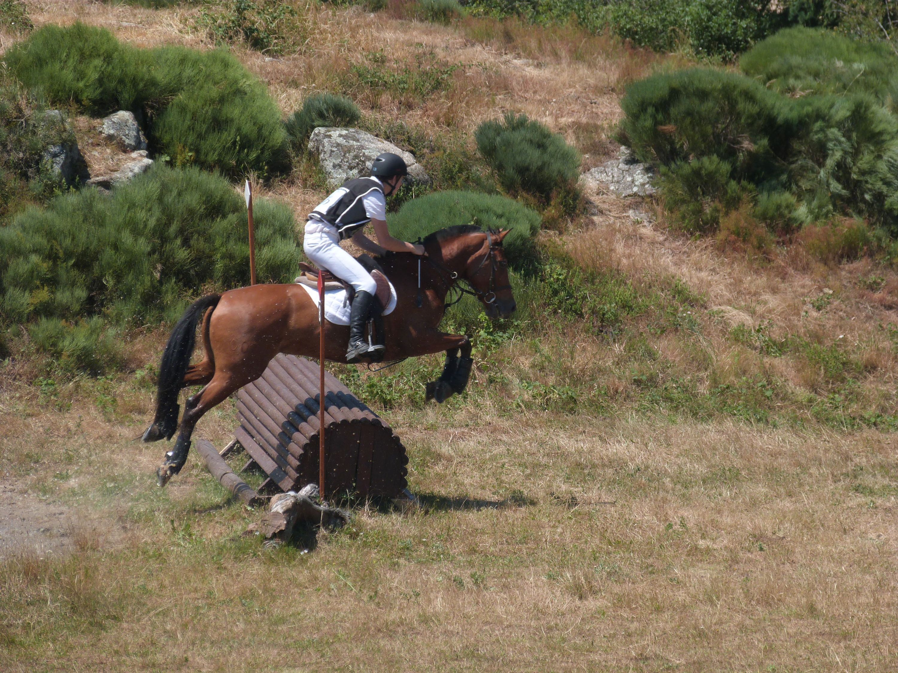 Pony Club Equestrian Center Les Kiwis