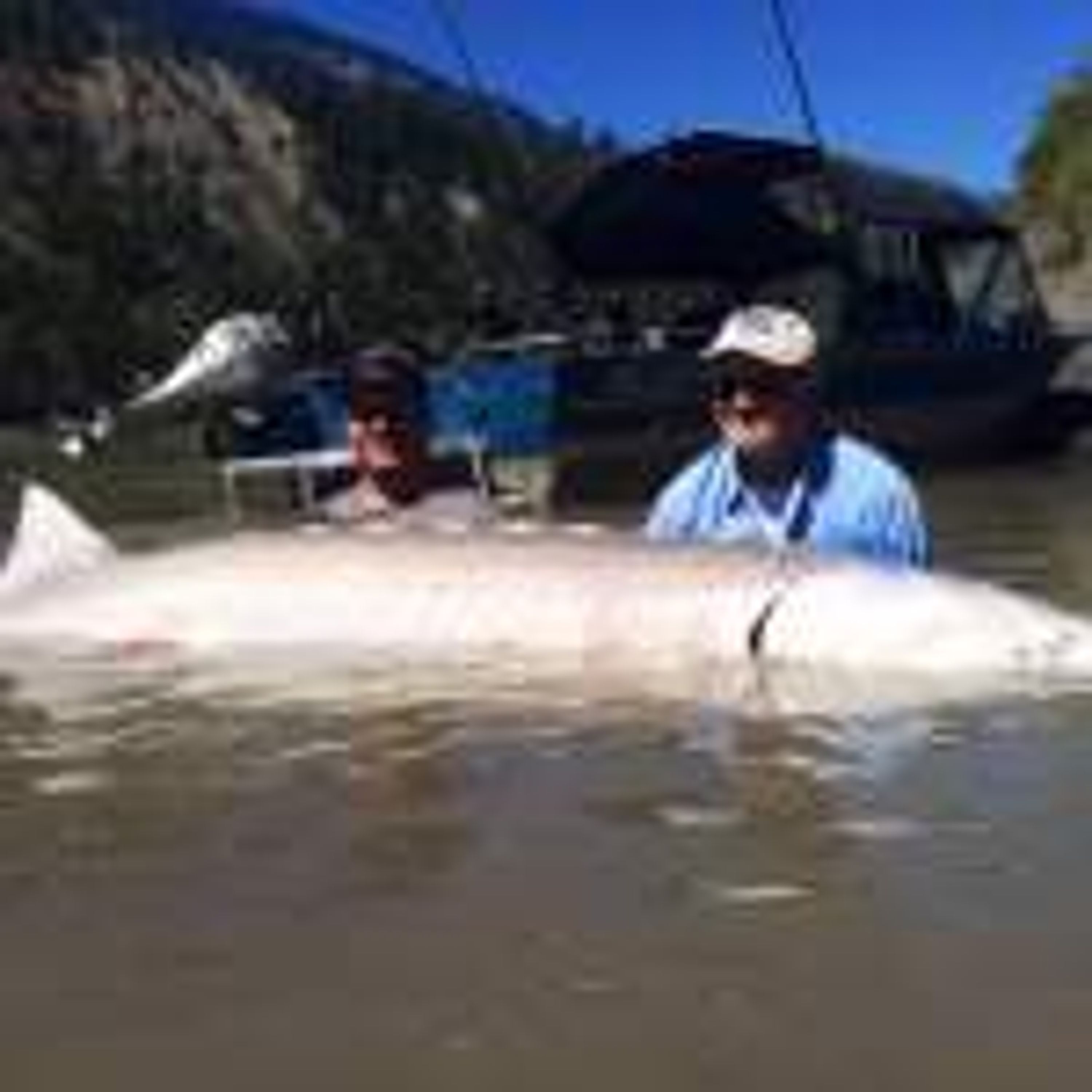Pemberton Fish Finder