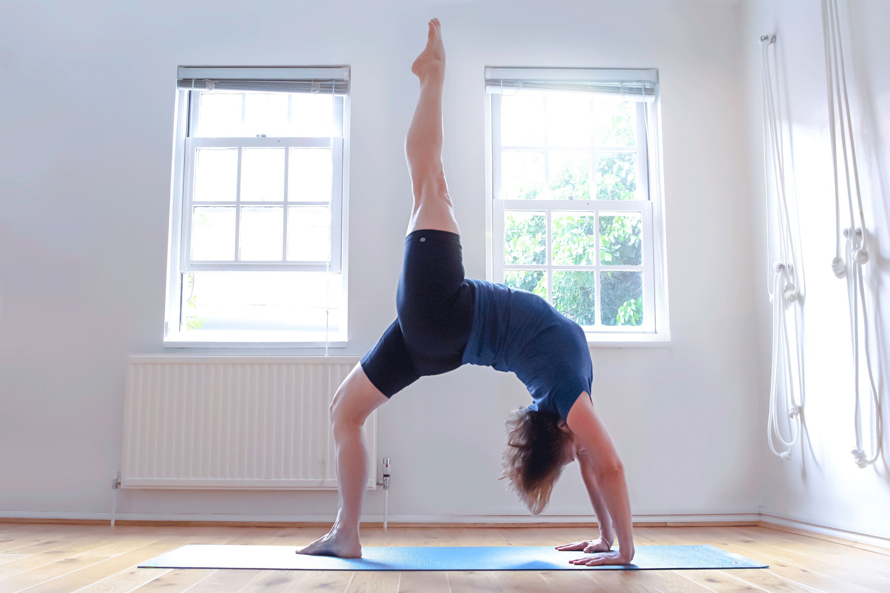 Iyengar Yoga with Larissa McGoldrick