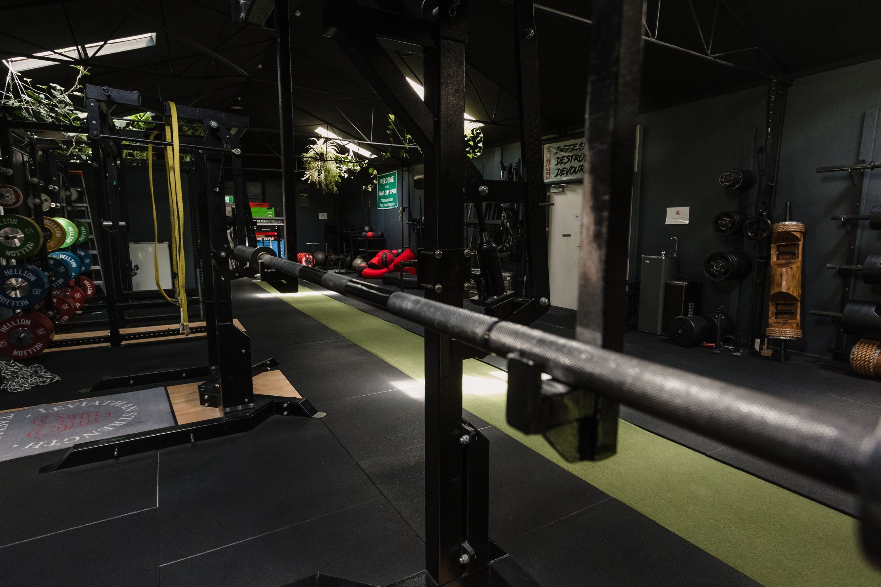 Leviathan Strength Gym