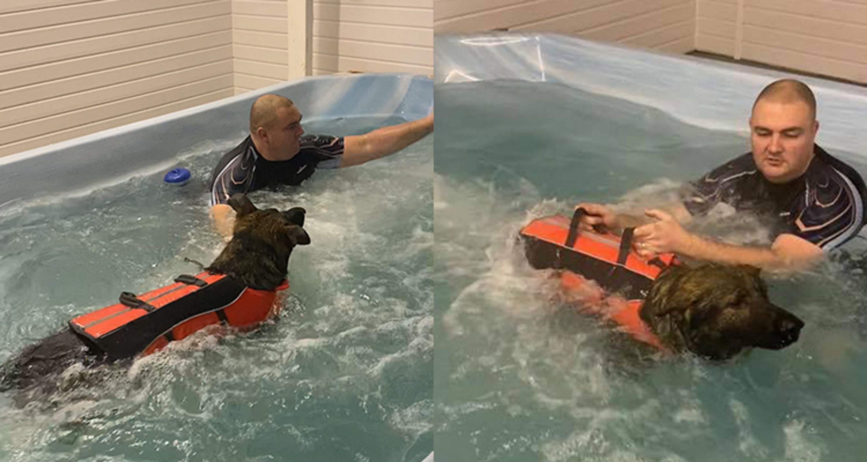 Bankhall K9 Swim Hydrotherapy