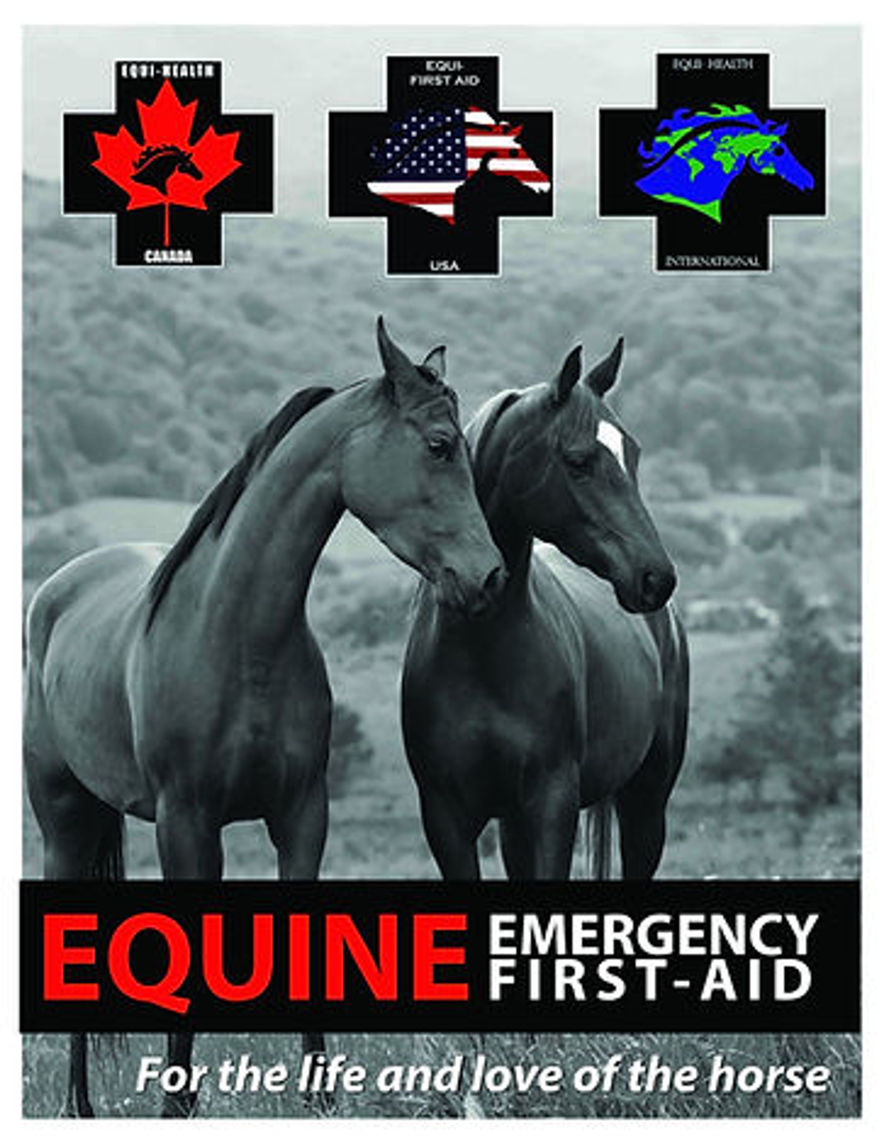 Dressage Clinic with Kathy Farrokhzad