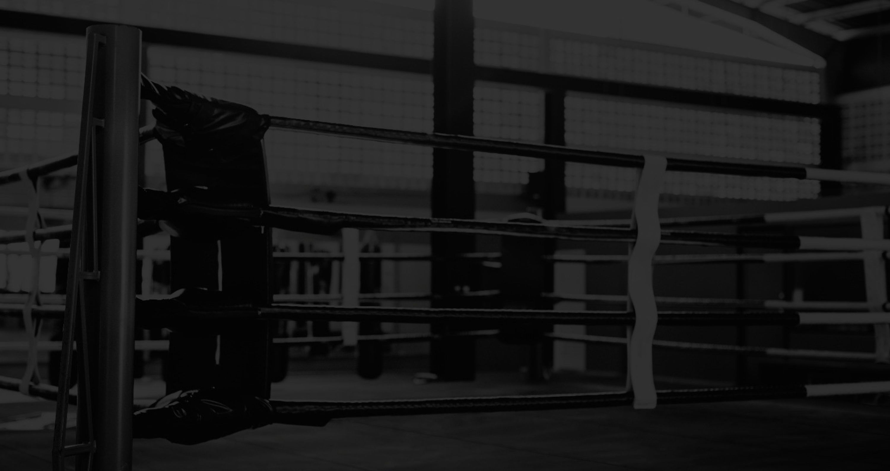 Spartan Boxing Fitness - Spencer Dock