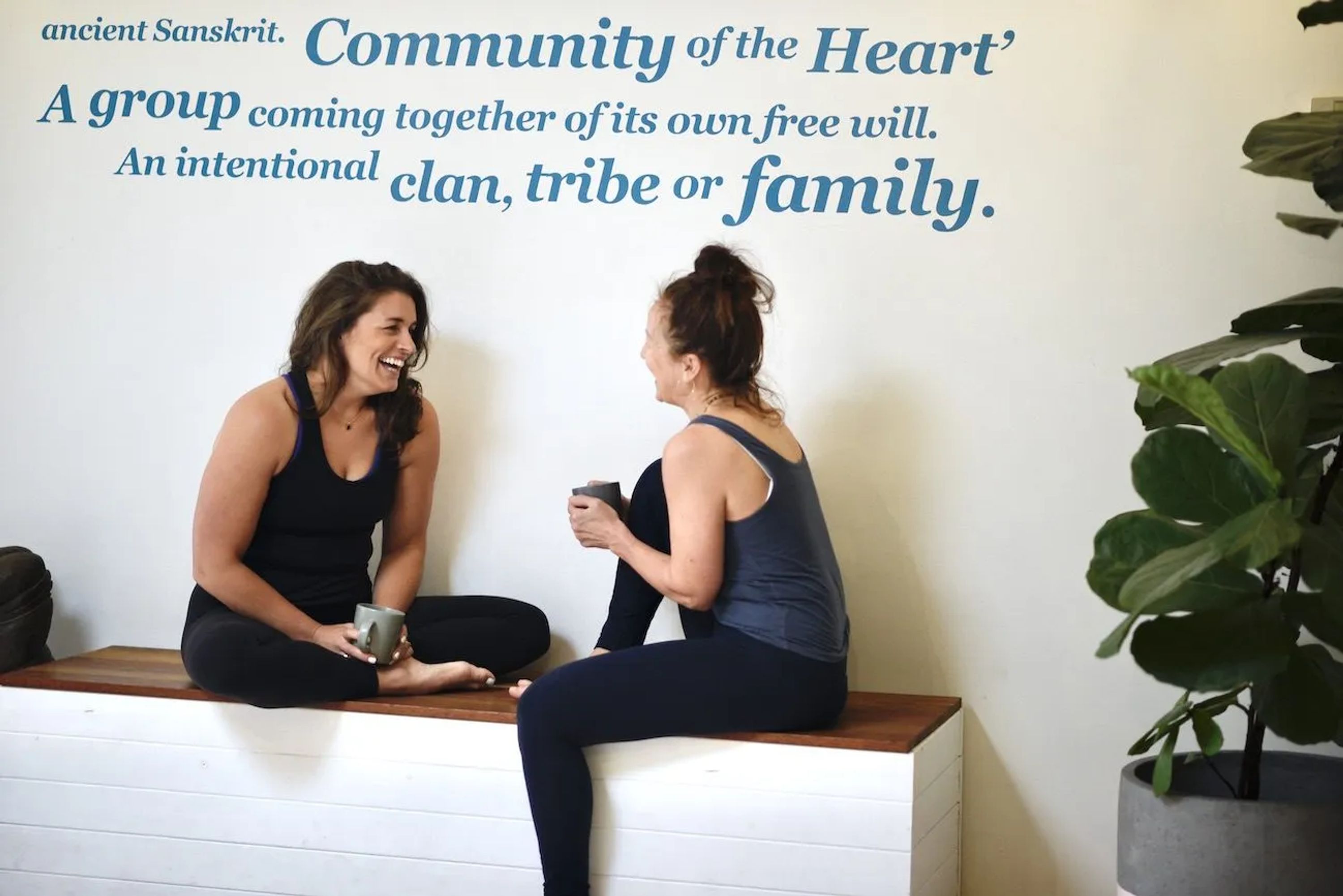 Hawthorn Yoga studio