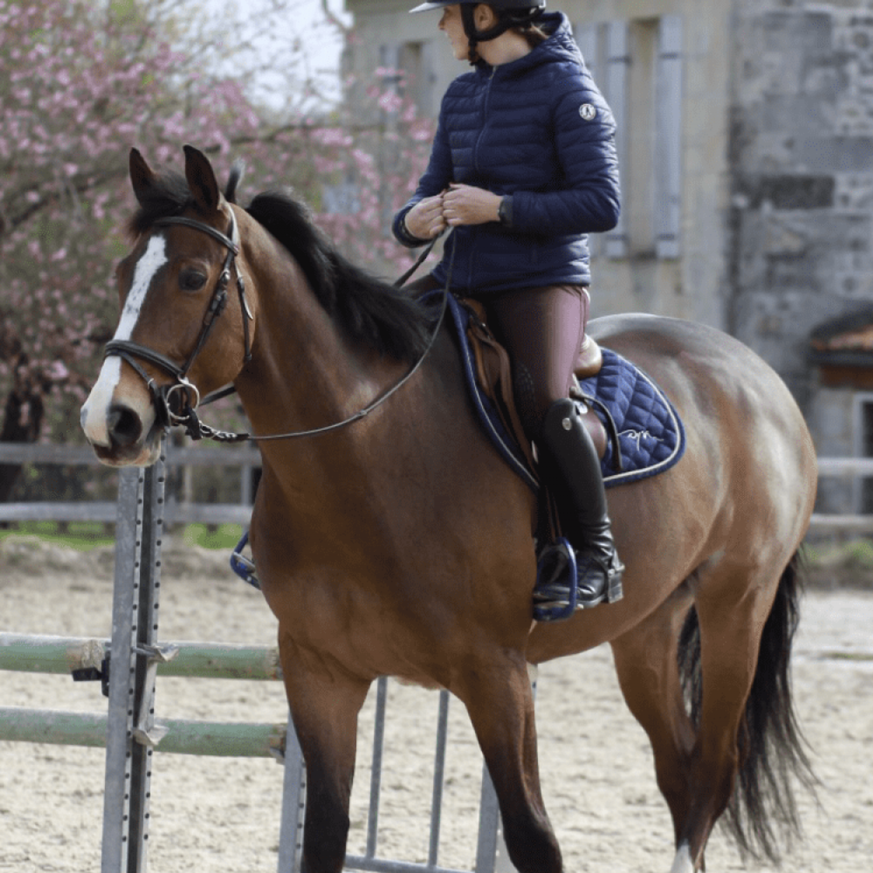 CENTRE EQUESTRE LES ALLARDS