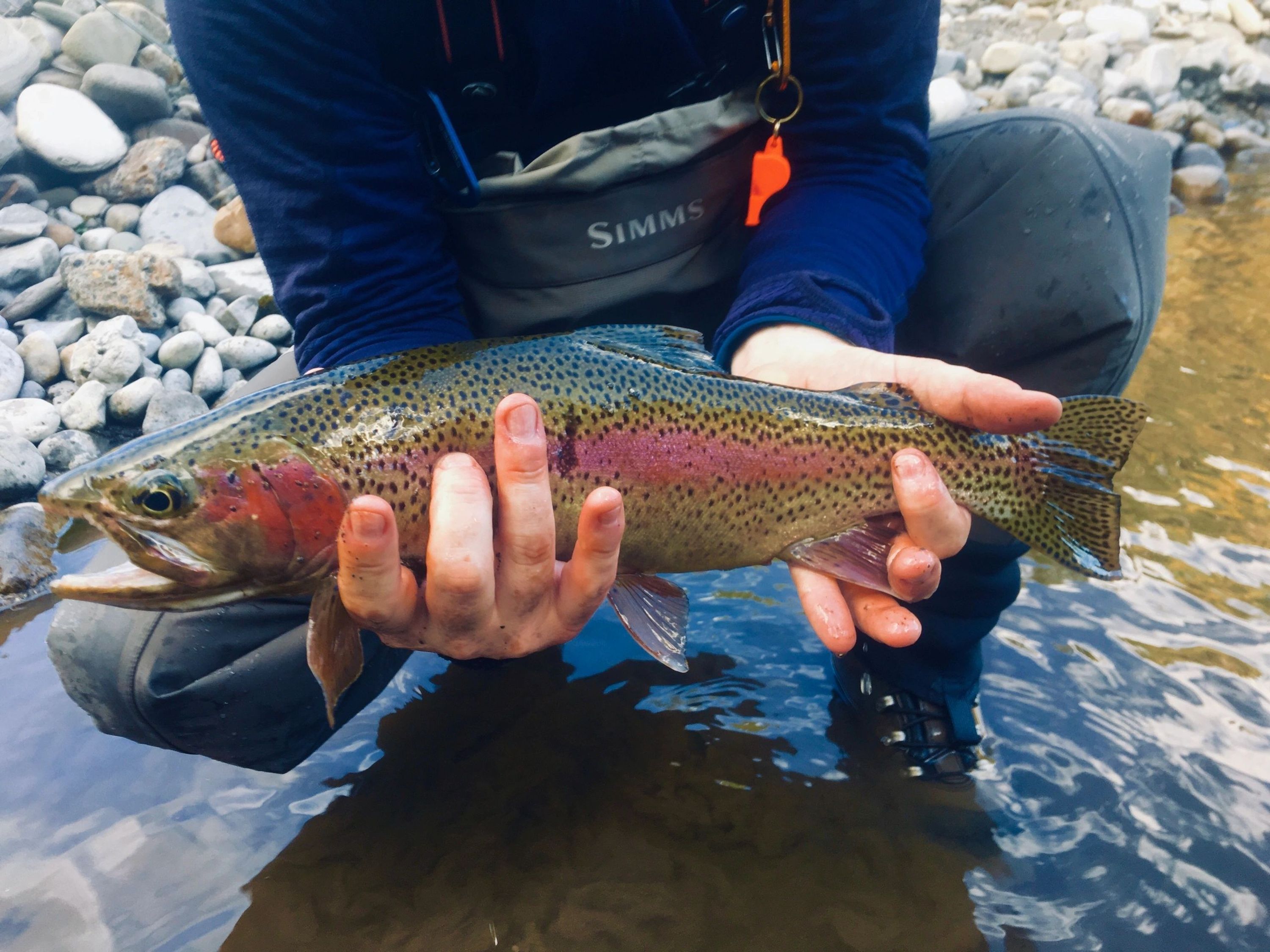 Trout Tracker Fishing & Guide Company