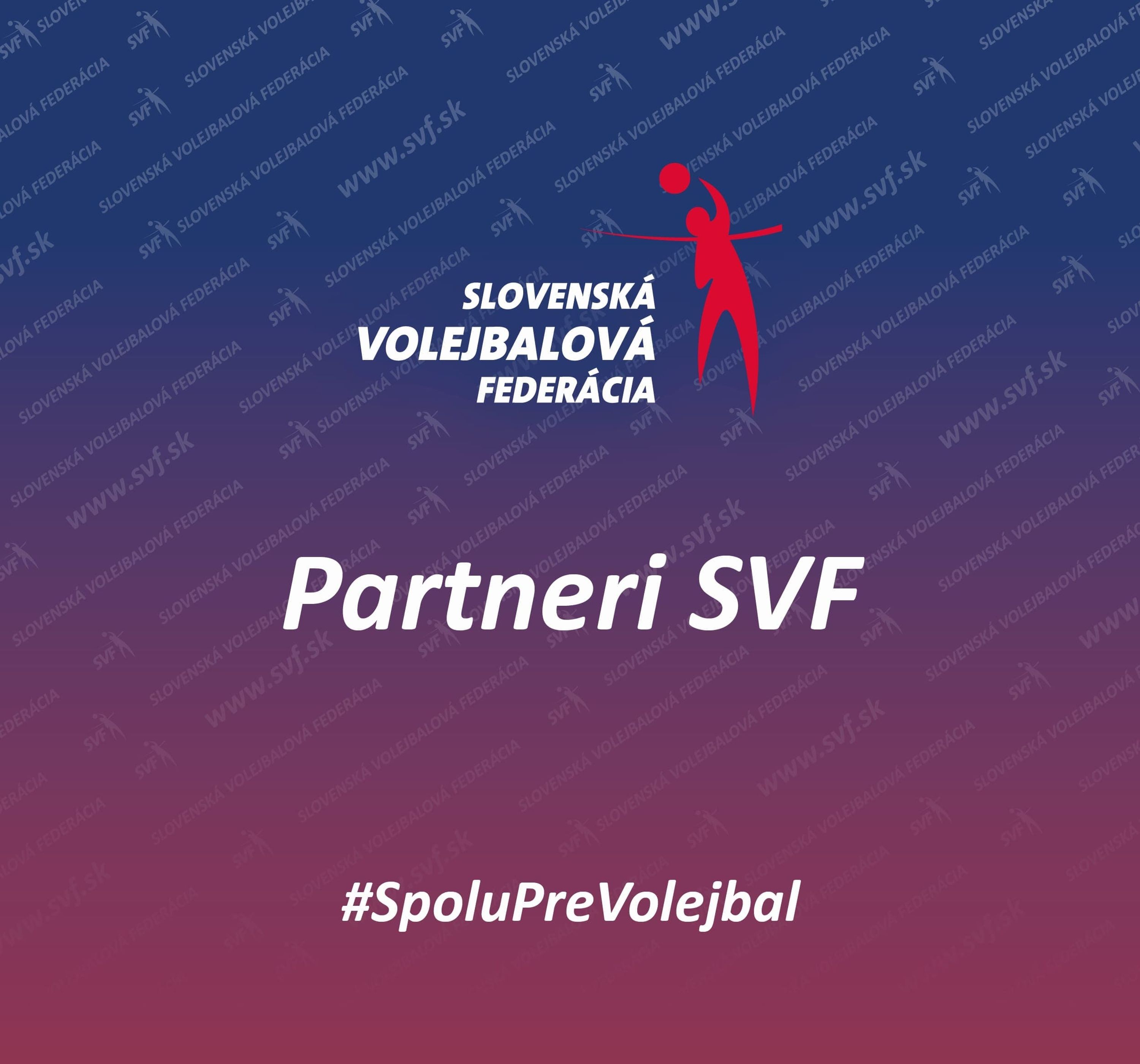 Slovak volleyball federation