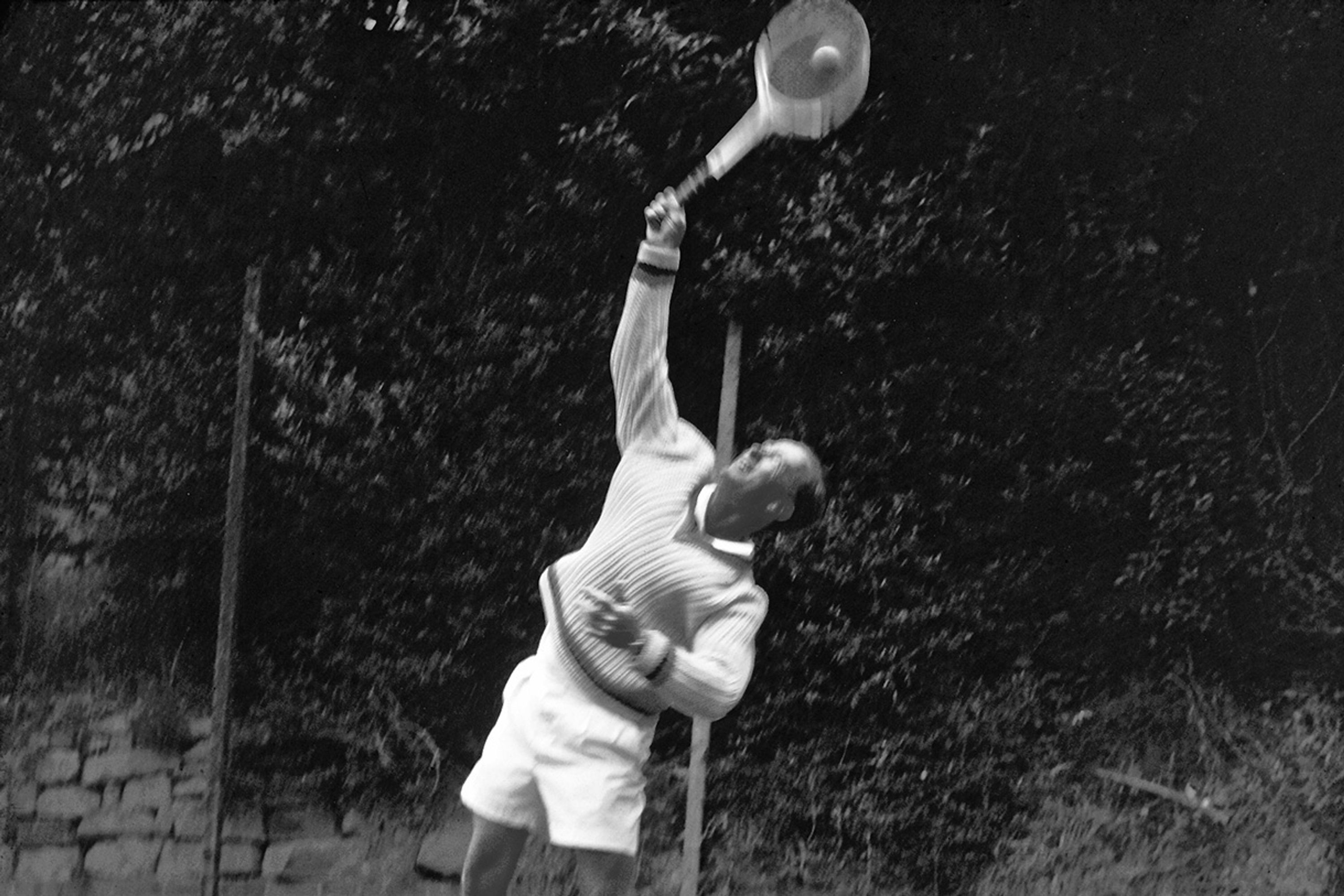 Alexandria Park Tennis Courts