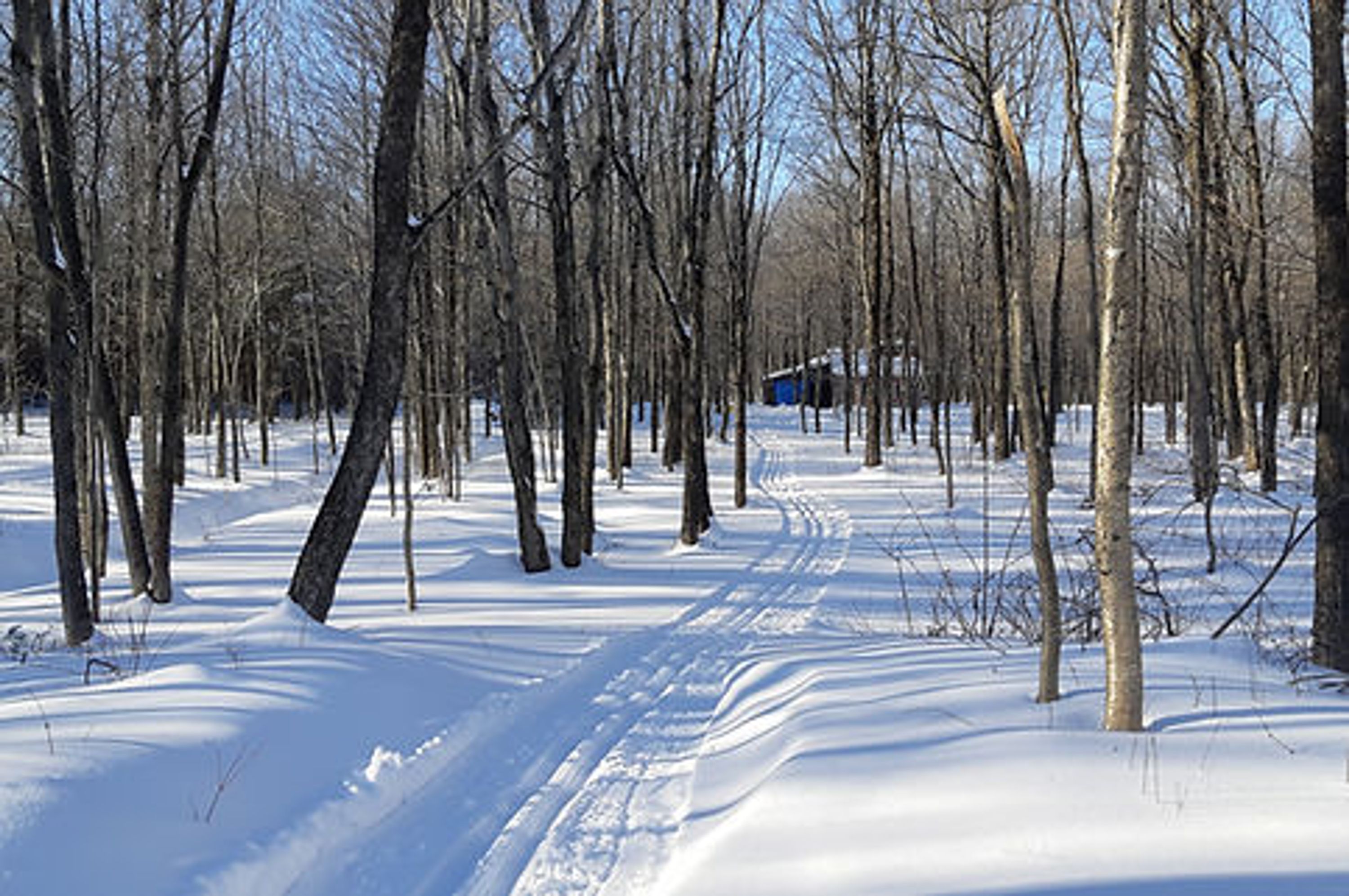 Club de Ski de fond St-Lambert-de-Lauzon