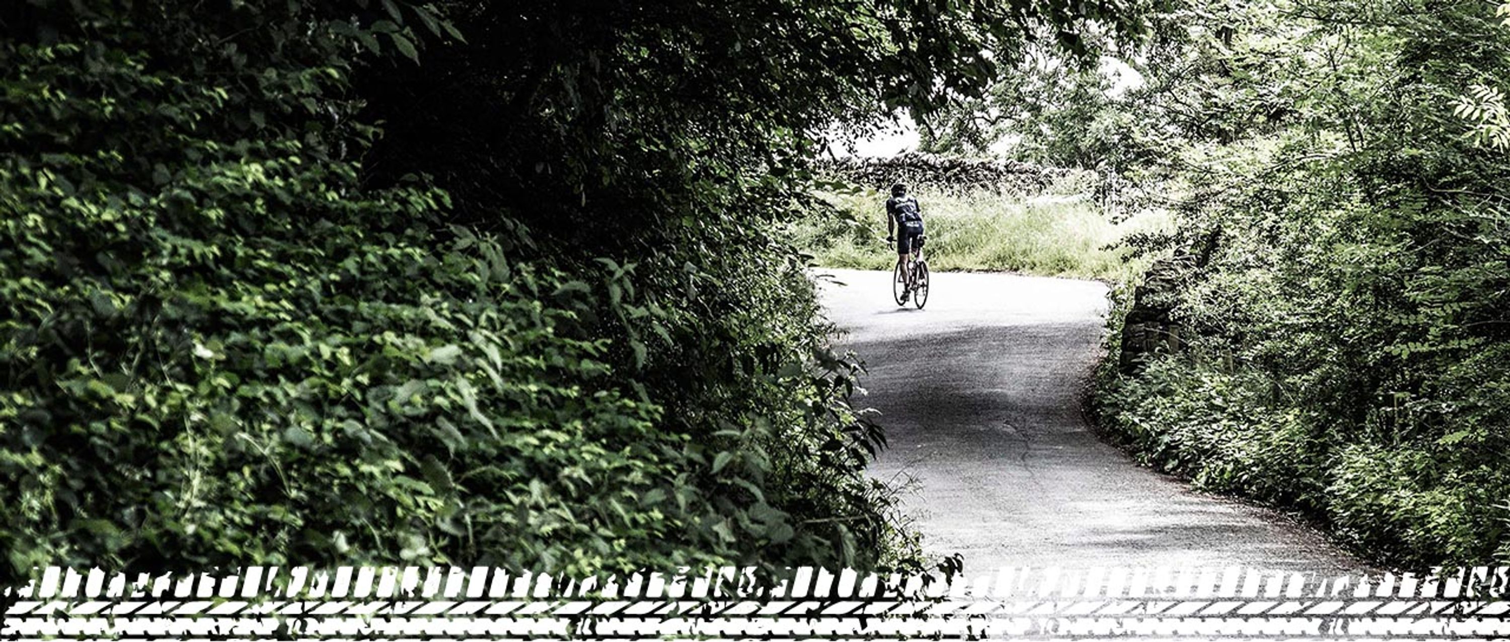 White Rose Classic Hill Climbing Event