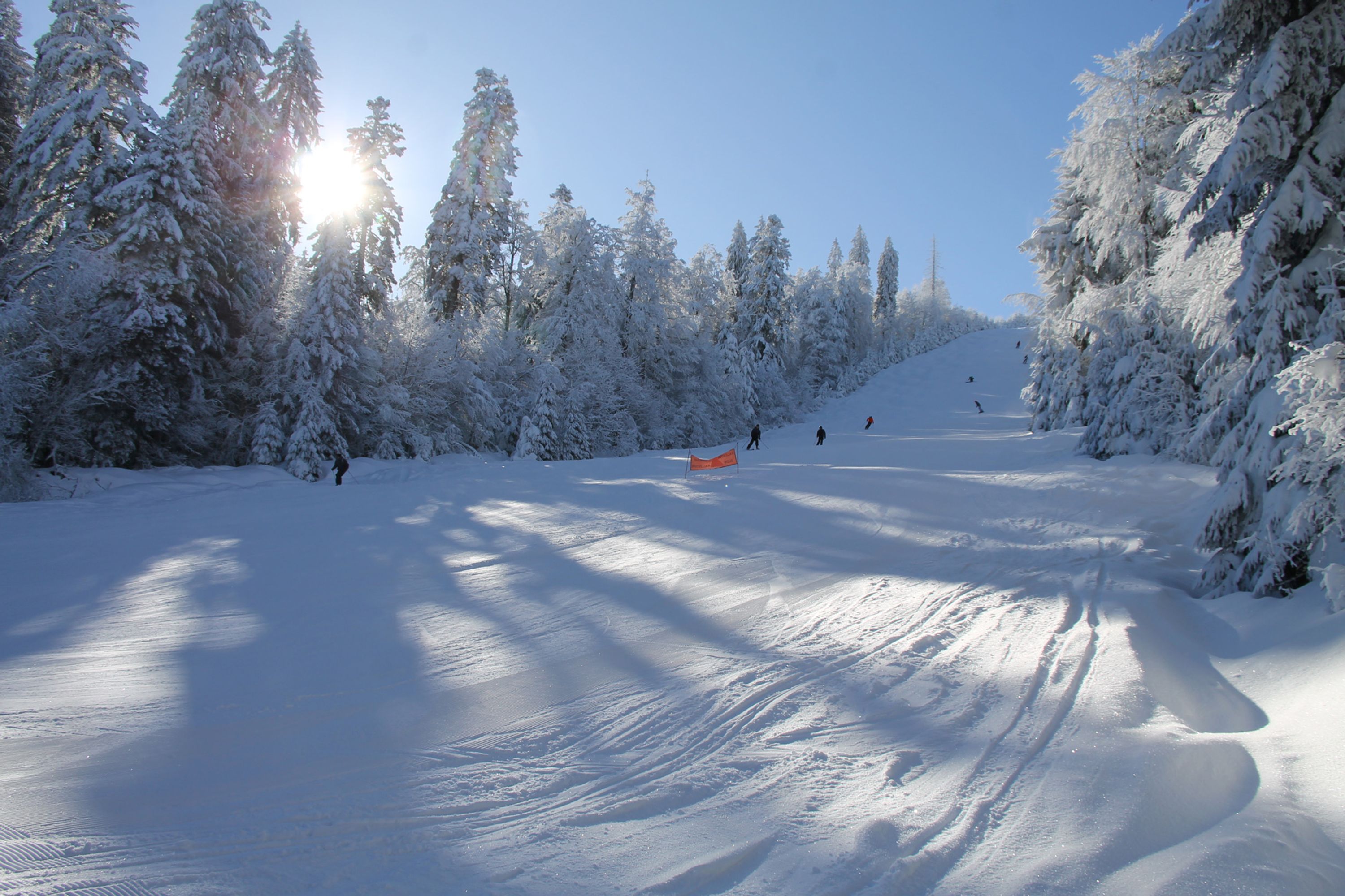 Location de Ski le Grand Haut