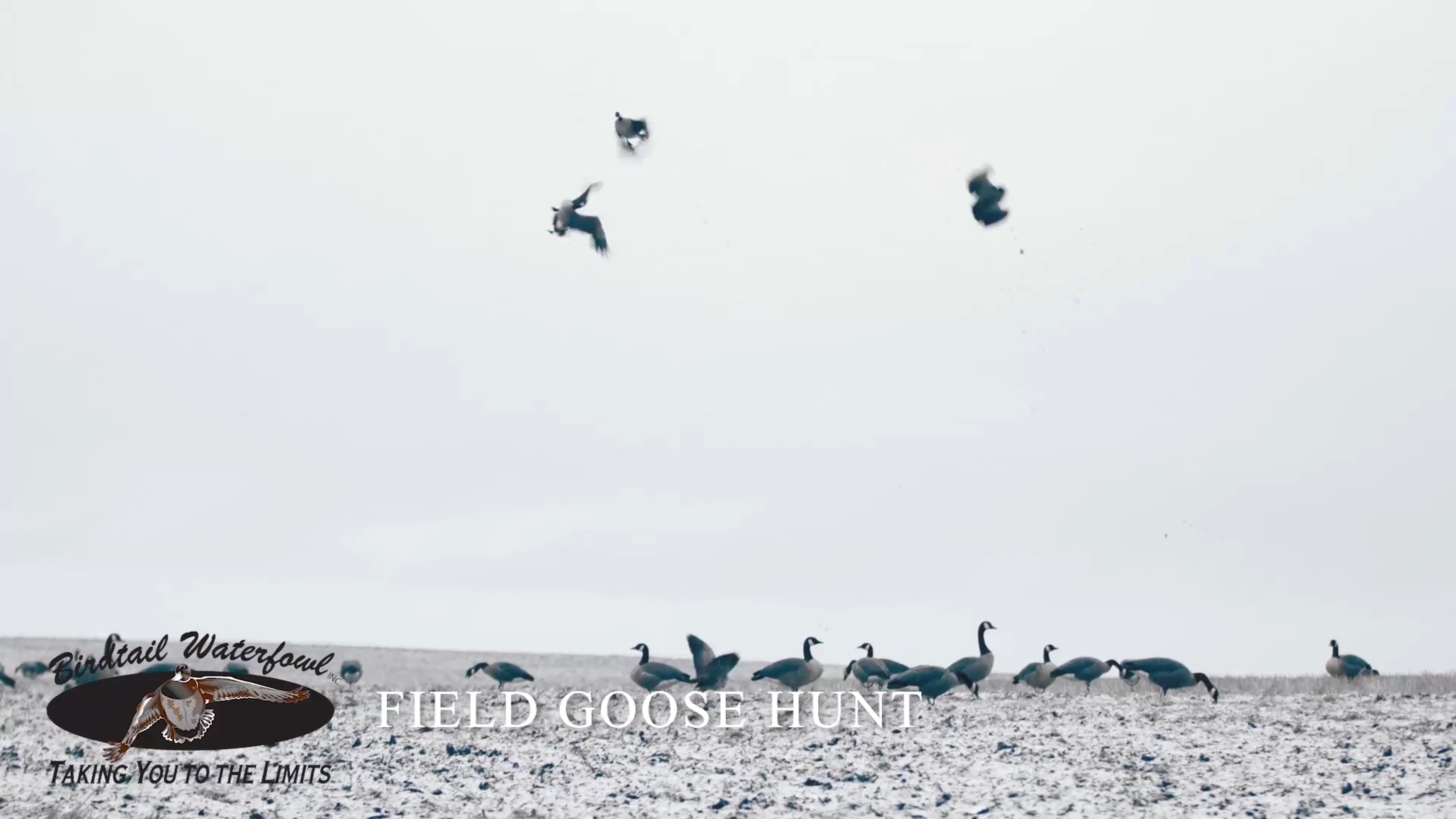 Birdtail Waterfowl Inc