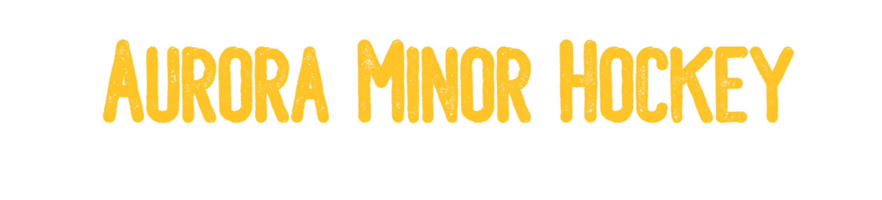 2024 - 2025 Tryout Passport (Aurora Minor Hockey)