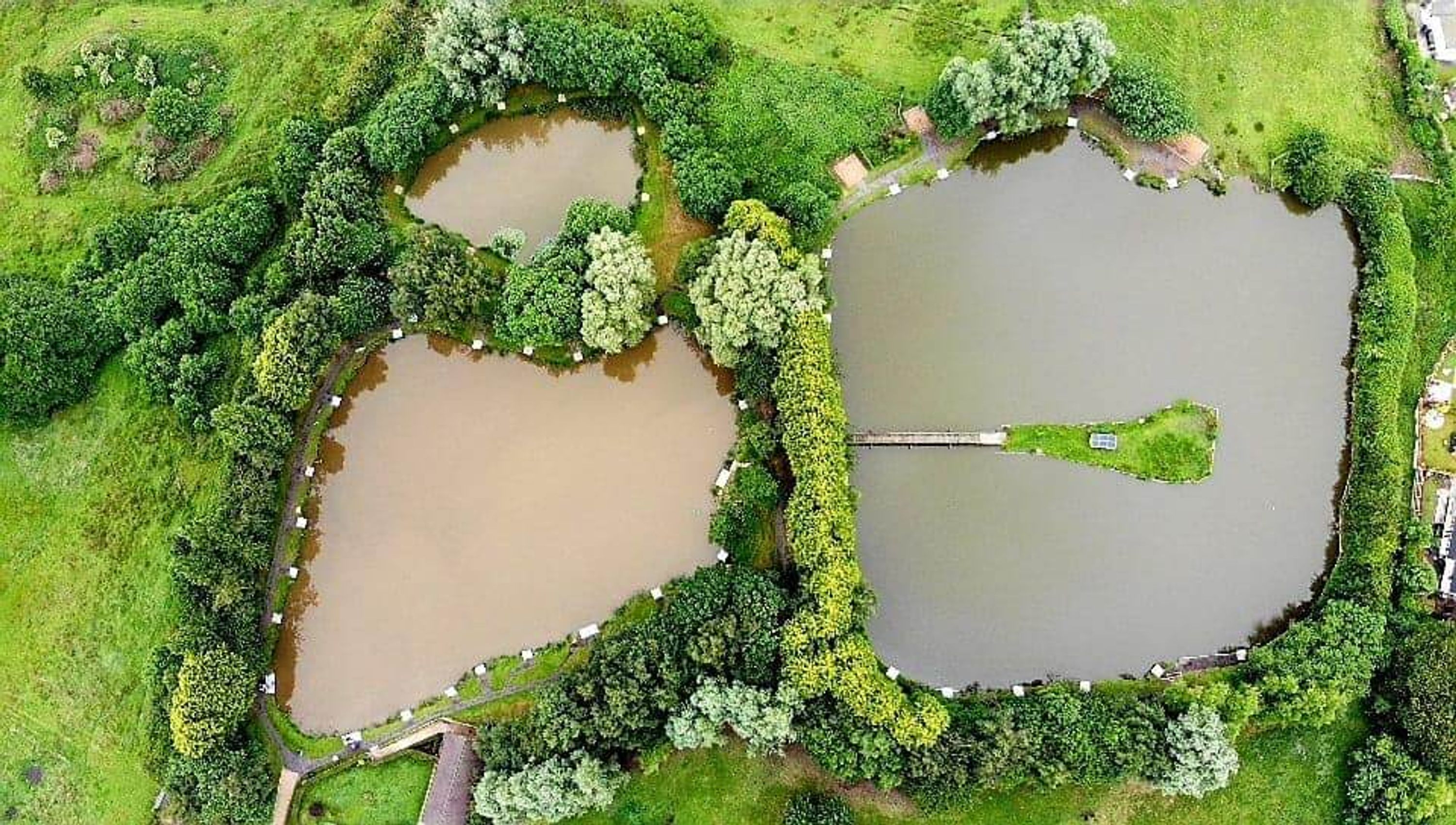 Foxhills Fishery