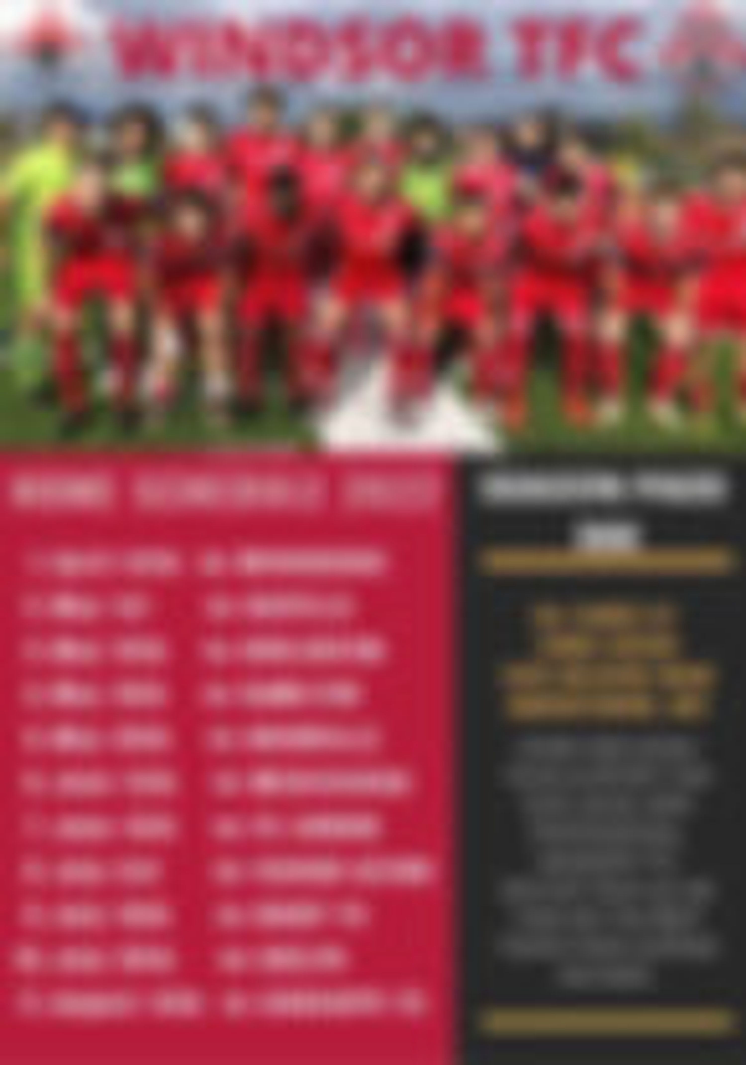 Windsor TFC