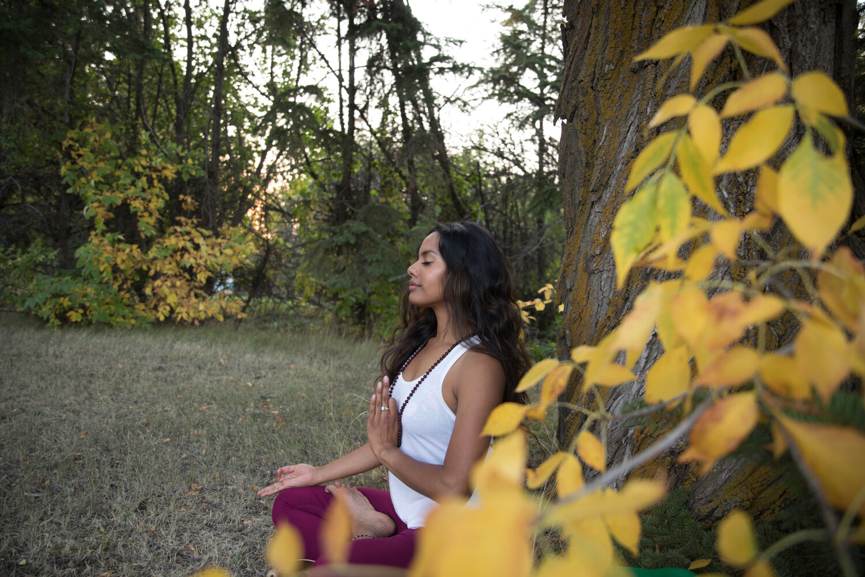 Shaktiflow Studios