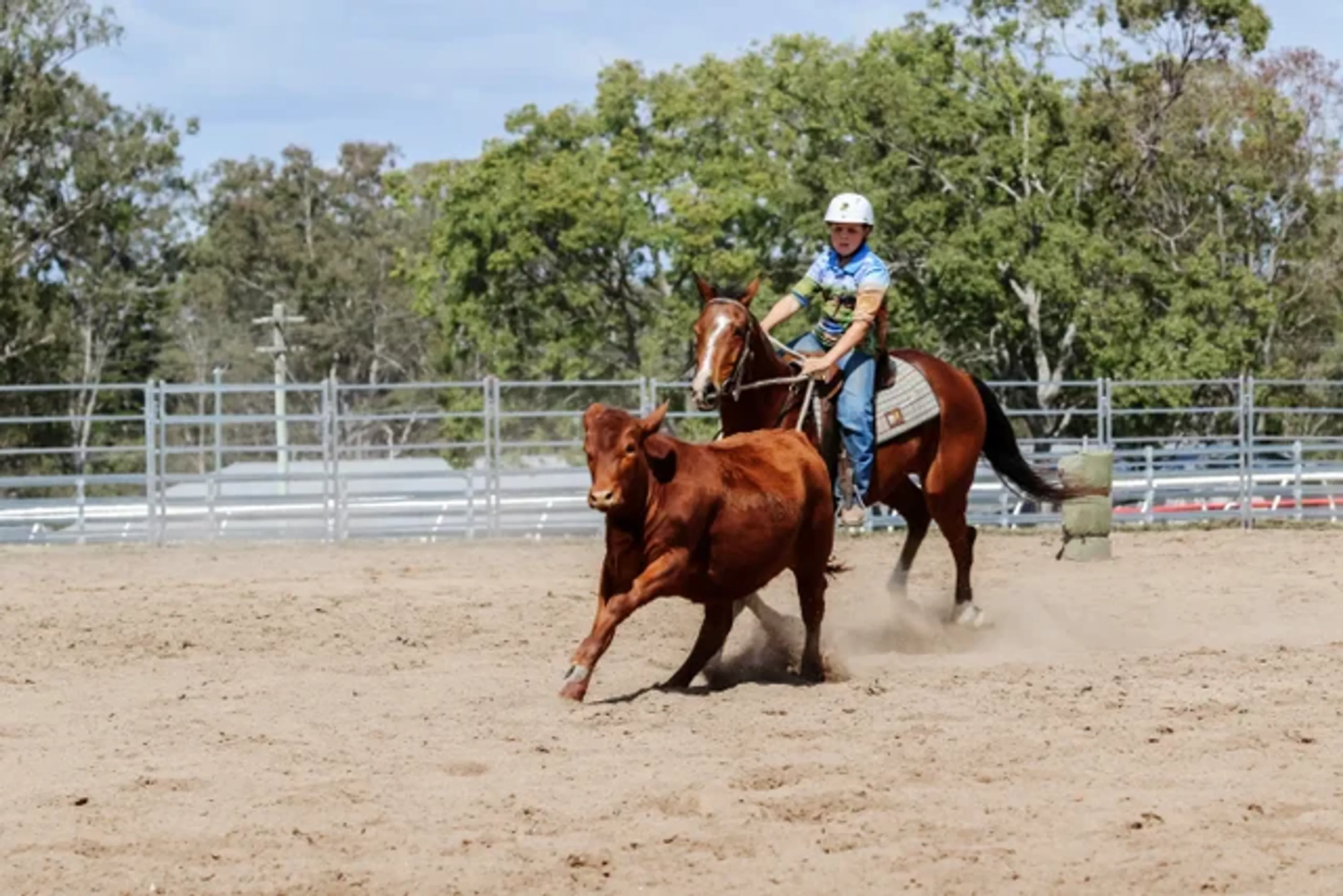 Individual lesson