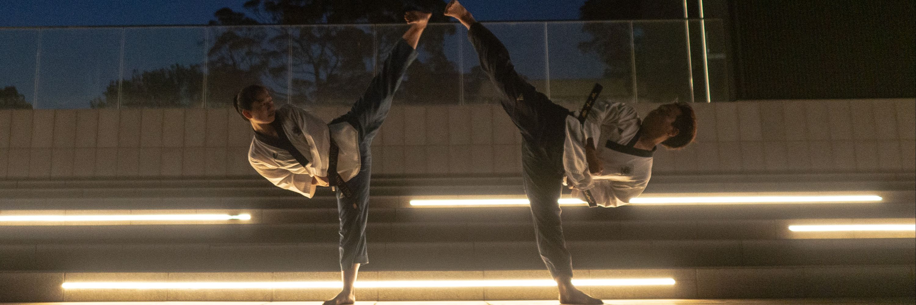 UNSW Taekwondo Club