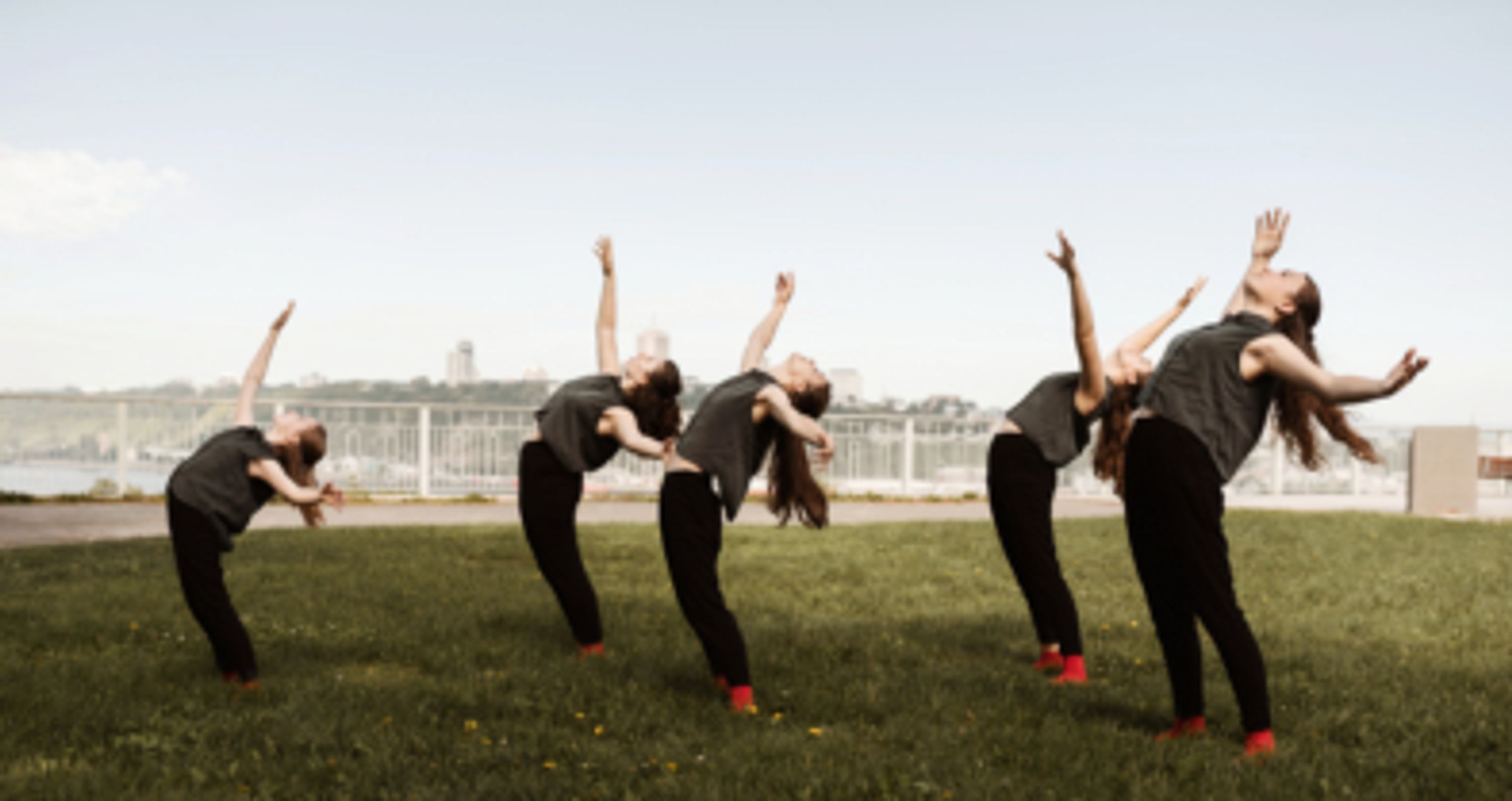 Ecole de Danse ldanse