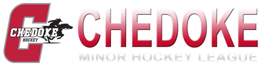 U18 Express vs Waterloo Wolves Hockey Tournament Game