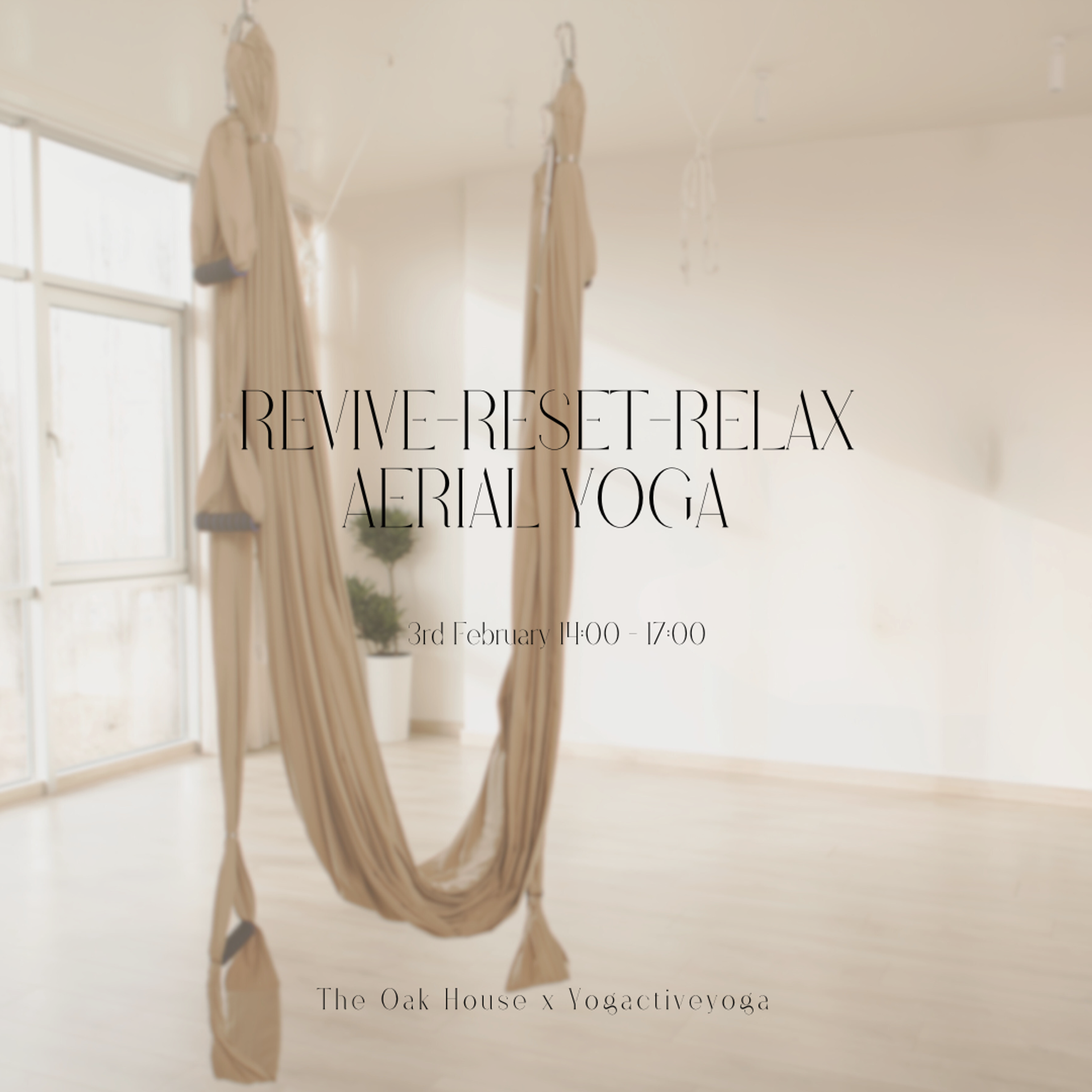 REVIVE-RESET-RELAX Aerial Yoga Workshop SOLD OUT with Yogactive Yoga & Pilates