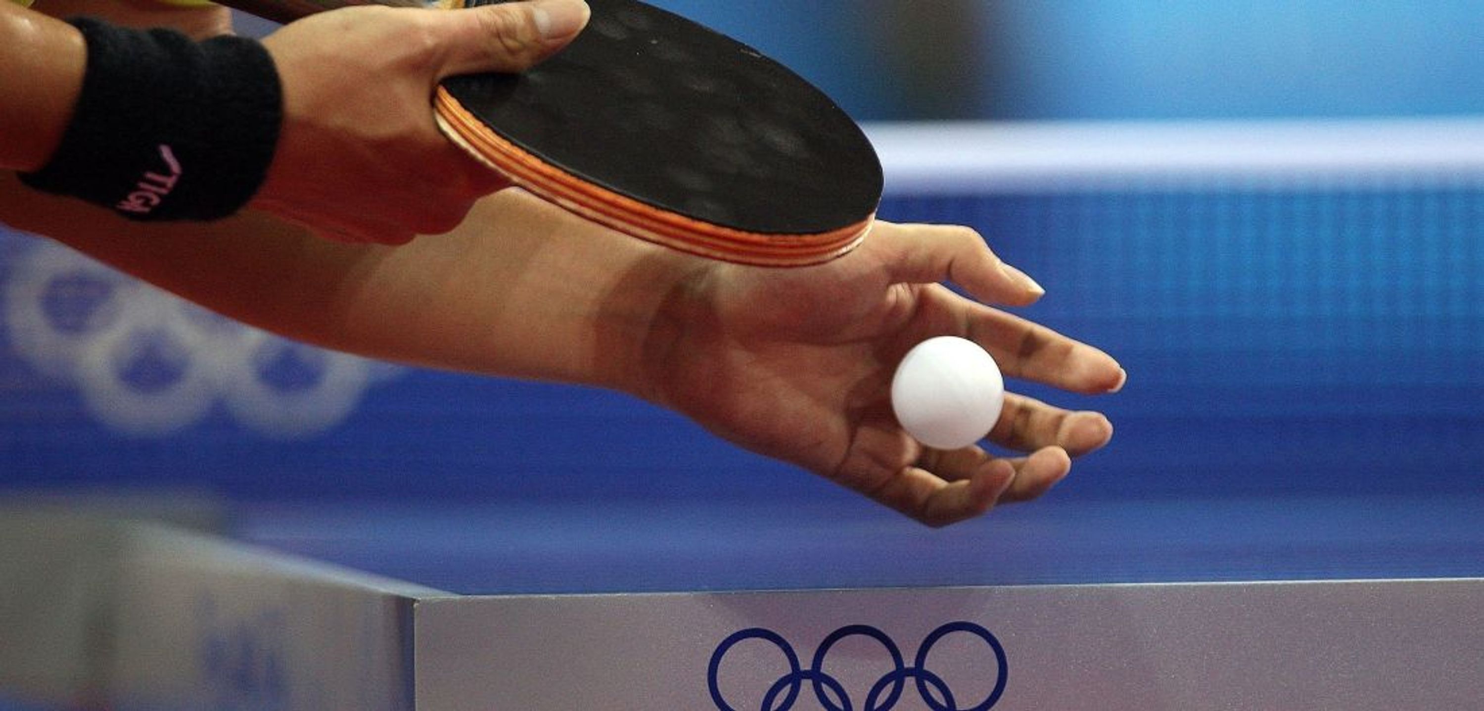 Section Paloise Tennis de Table