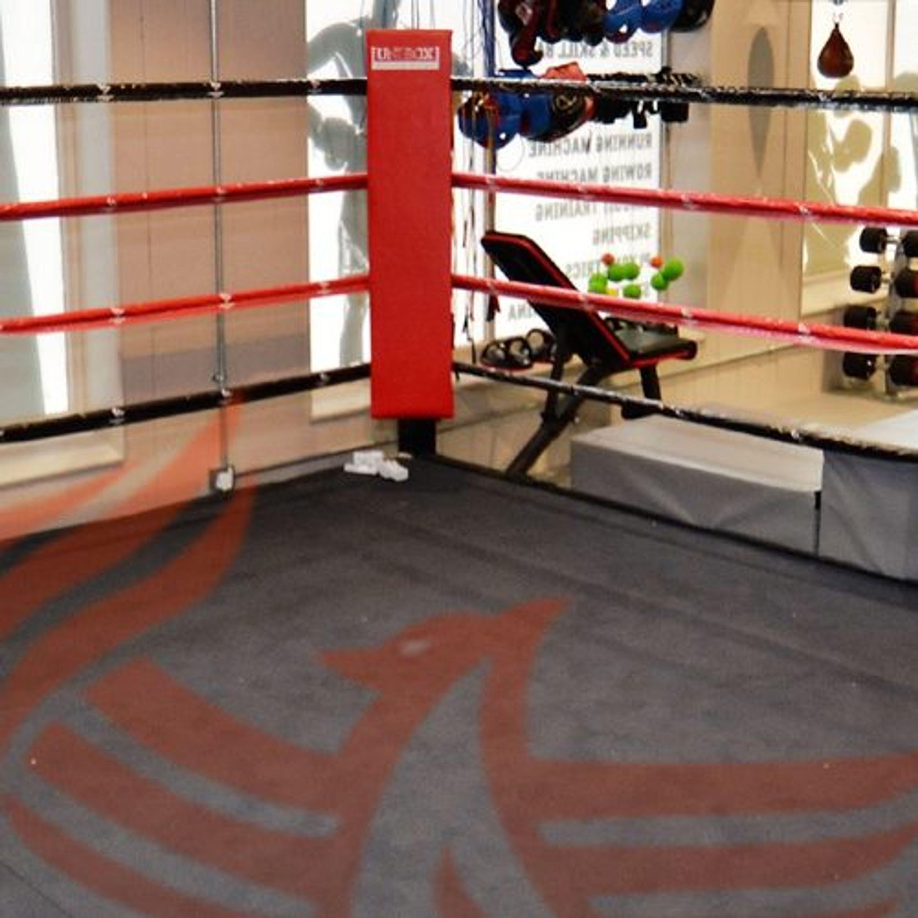Phoenix Boxing