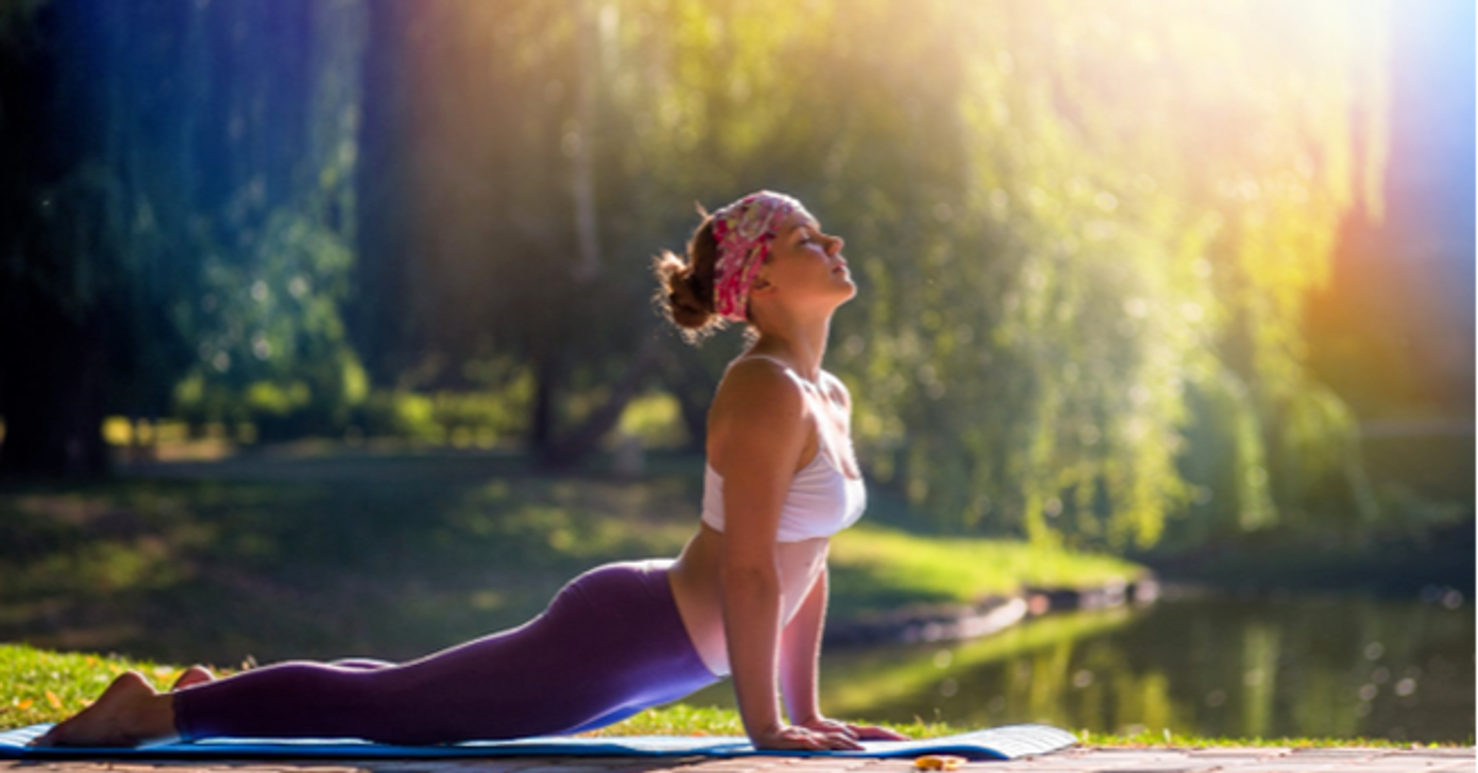 Alyssium Yoga & Detox Centre