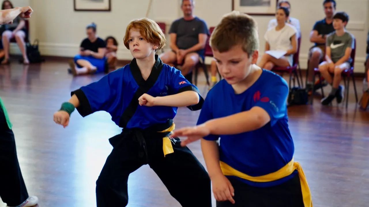 Kung Fu and Tai Chi Classes