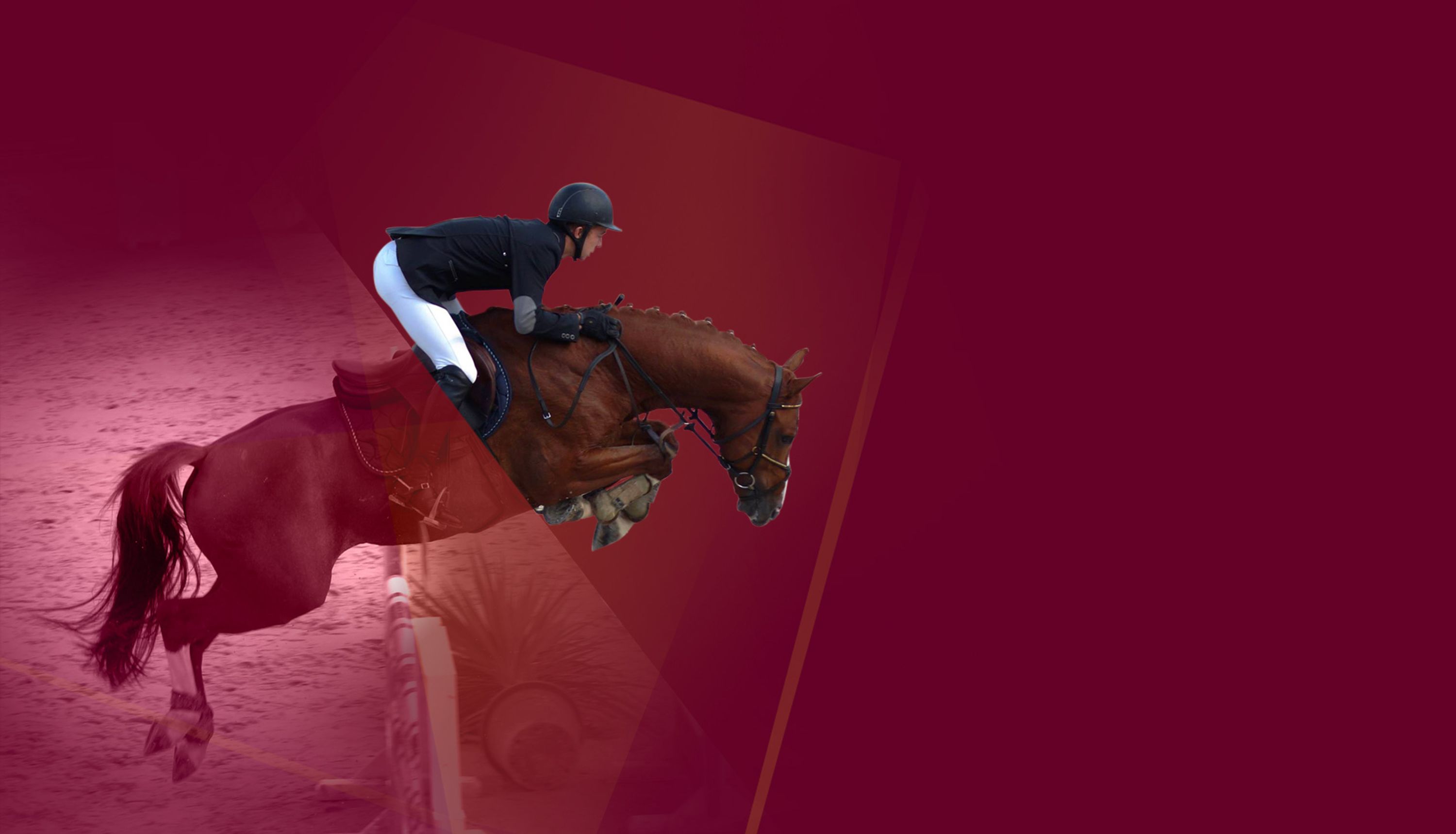 Scea Du Haras D'eglefin
