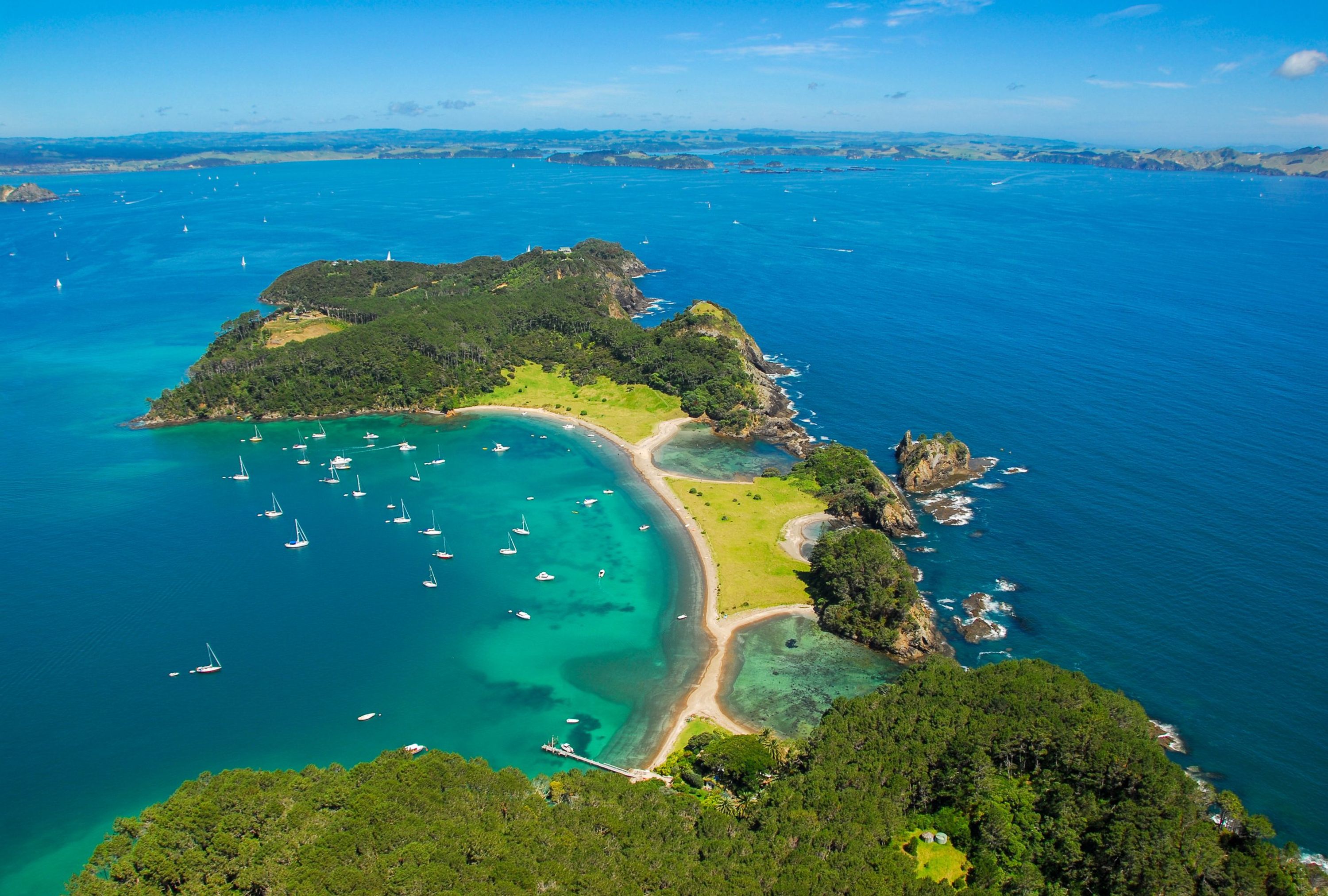 Fish Bay of Islands